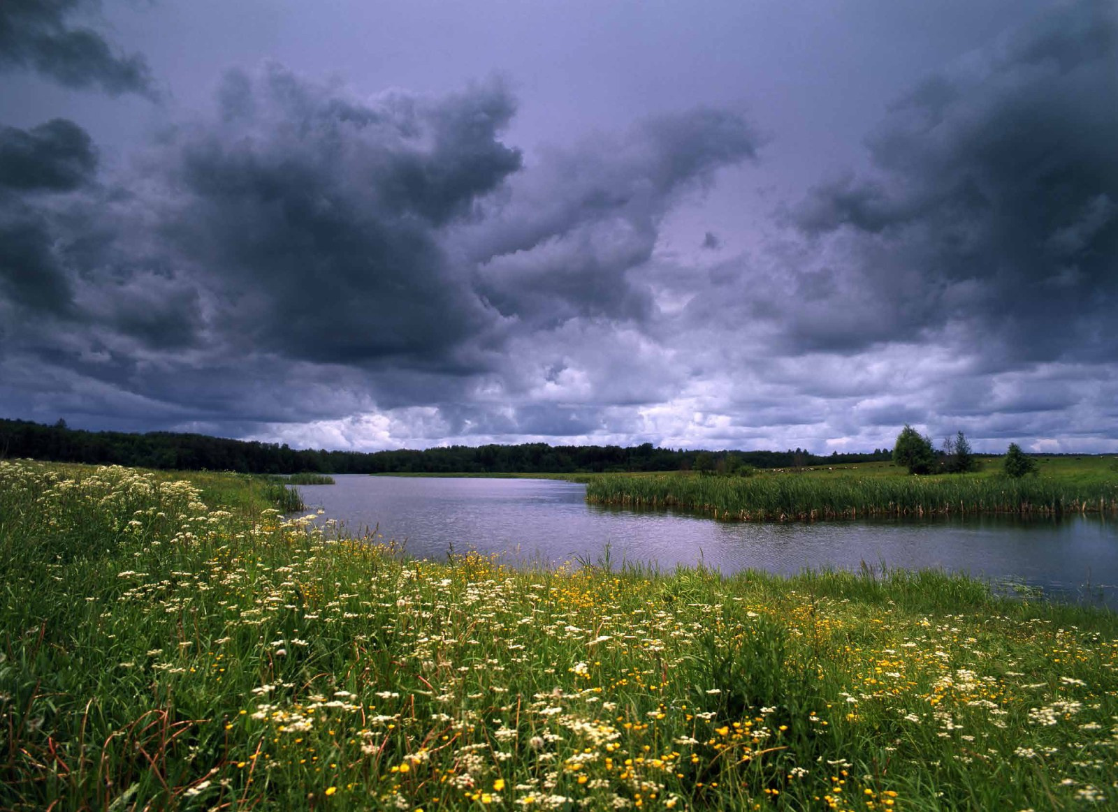 Коллекционные альбомы. ВАДИМ ГИППЕНРЕЙТЕР — ВЕЛИКИЙ ФОТОГРАФ ЗЕМЛИ РУССКОЙ