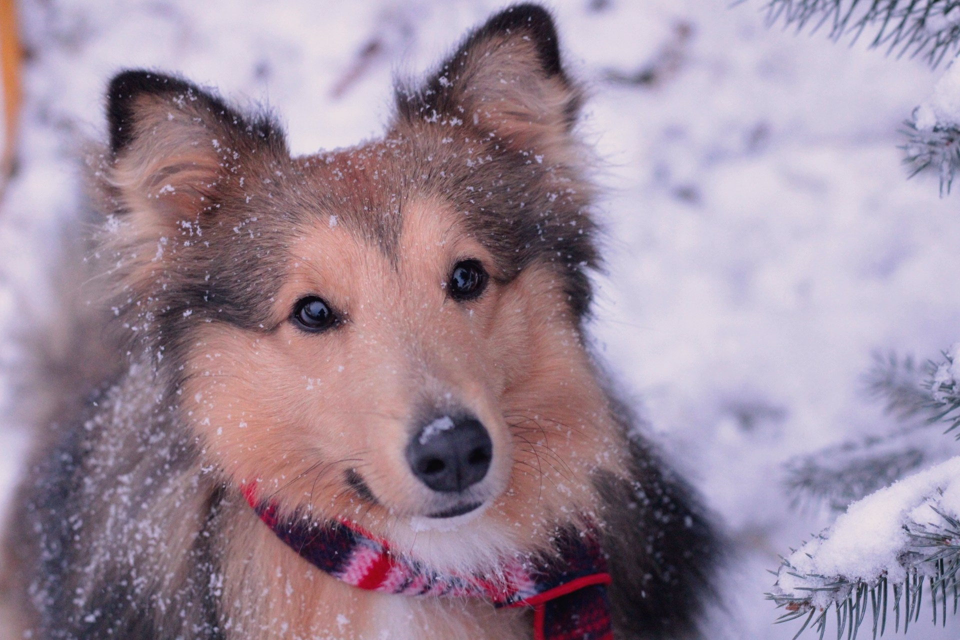 Катя Попова|ЛайфСтайл фотограф