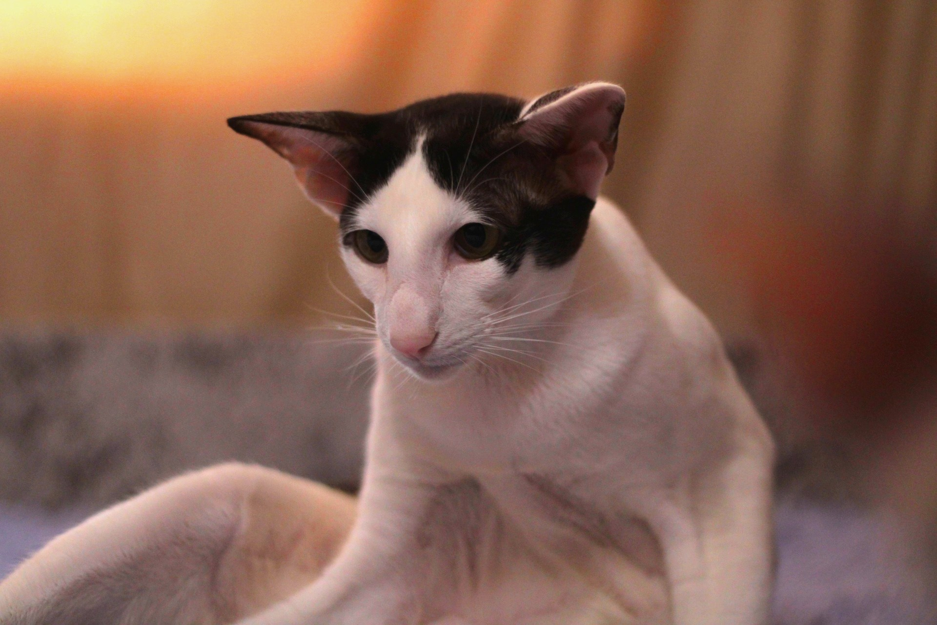 Катя Попова|ЛайфСтайл фотограф