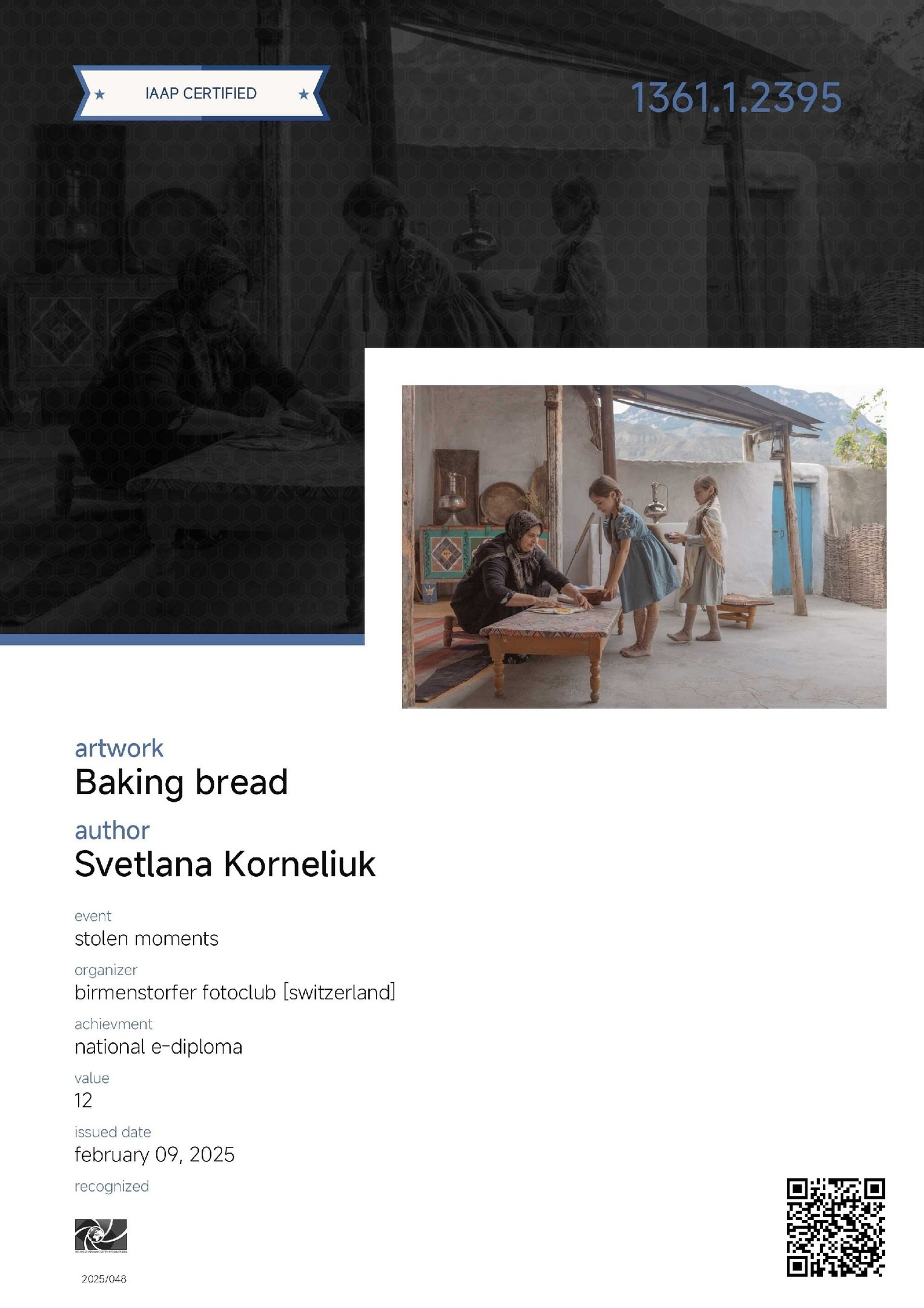 National E-Diploma, received at the international competition "STOLEN MOMENTS"