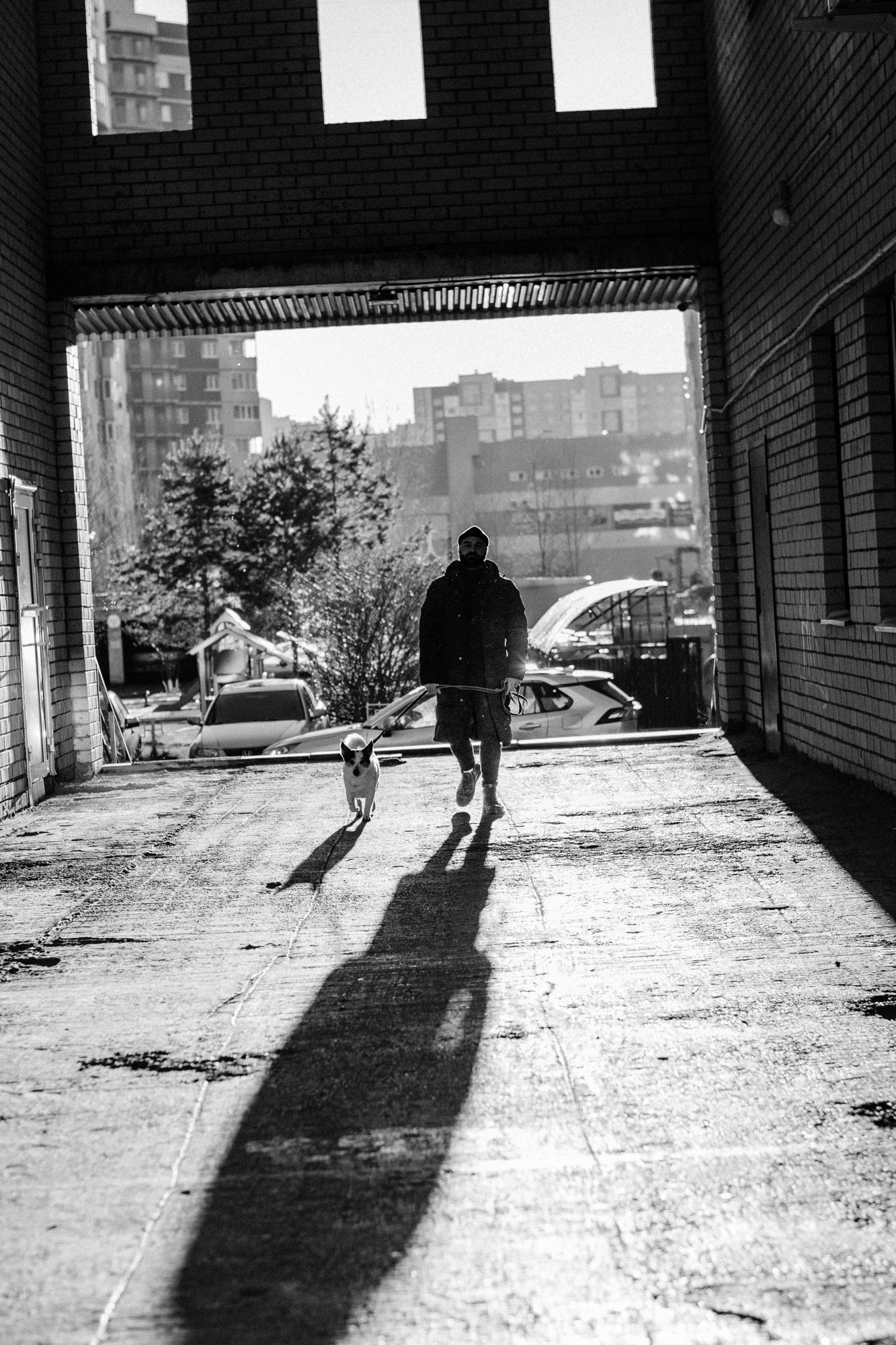 Съемка с животными на улице: искренние эмоции и зимняя атмосфера.