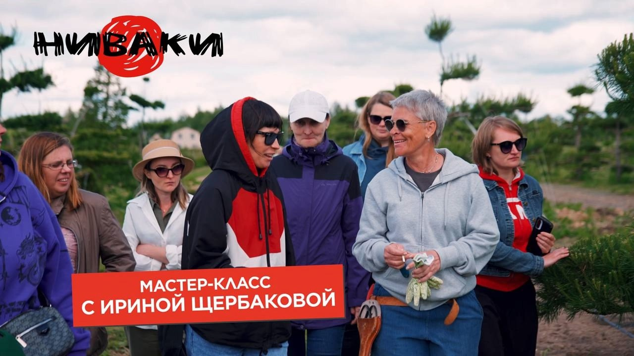 Репортажная видеосъемка заказать в Москве | TOLBATOV PRODUCTION