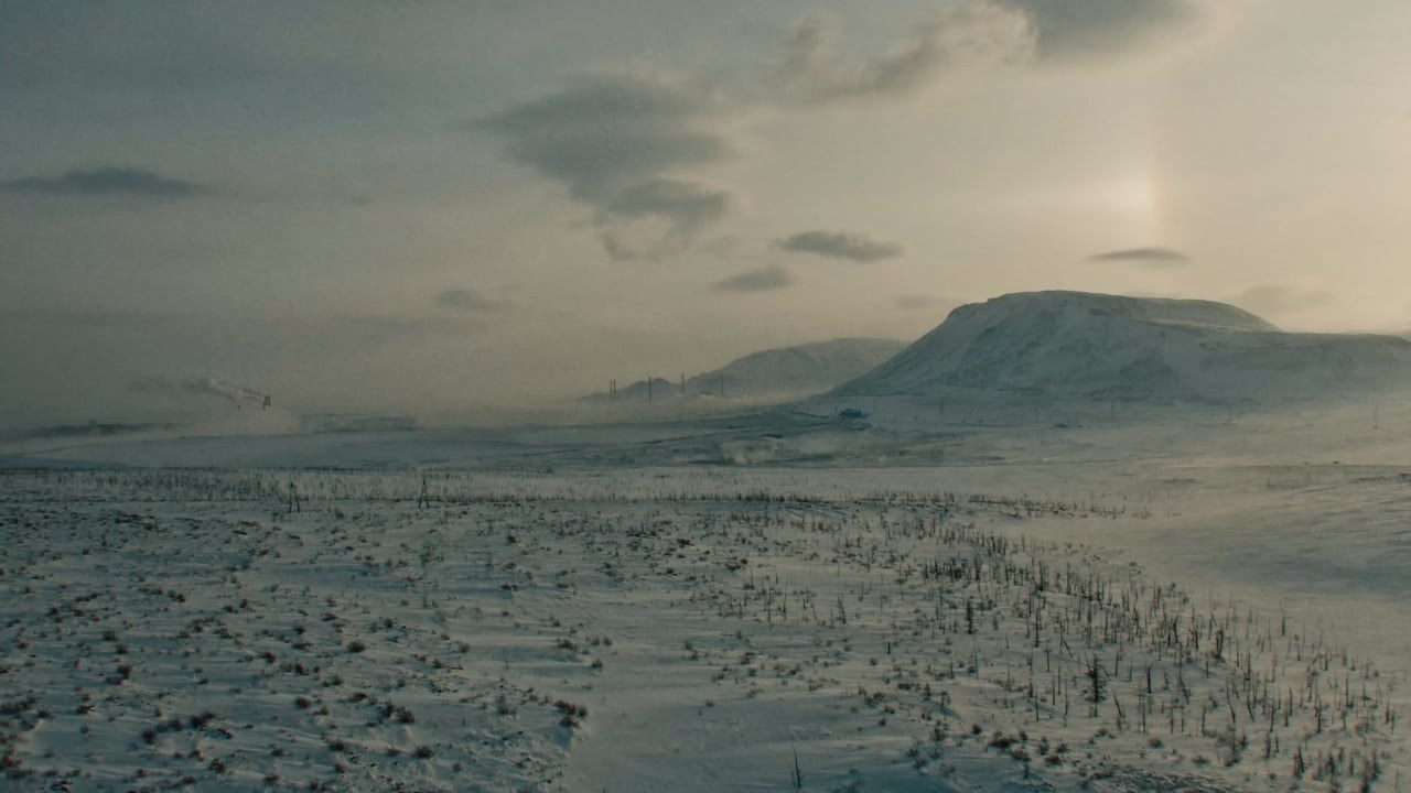 Reportage / Documentary. Оператор постановщик Денис Трегубов