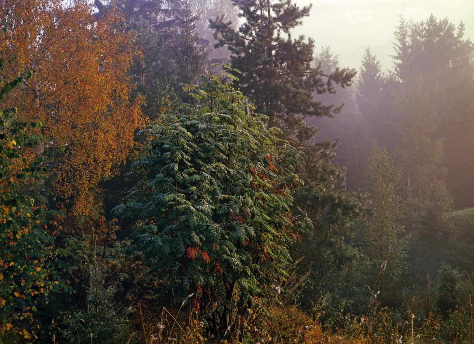 Коллекционные альбомы. ВАДИМ ГИППЕНРЕЙТЕР — ВЕЛИКИЙ ФОТОГРАФ ЗЕМЛИ РУССКОЙ