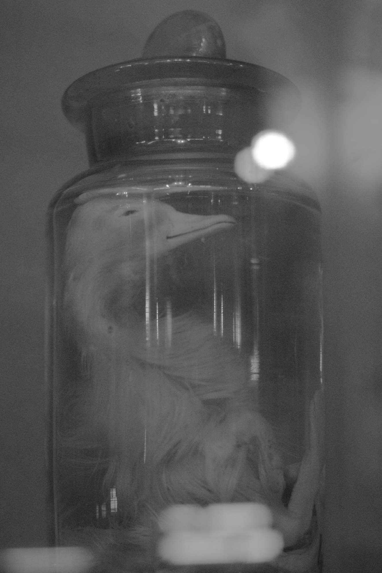 When you leave us, I'll live in your room. Maria Pilkevich