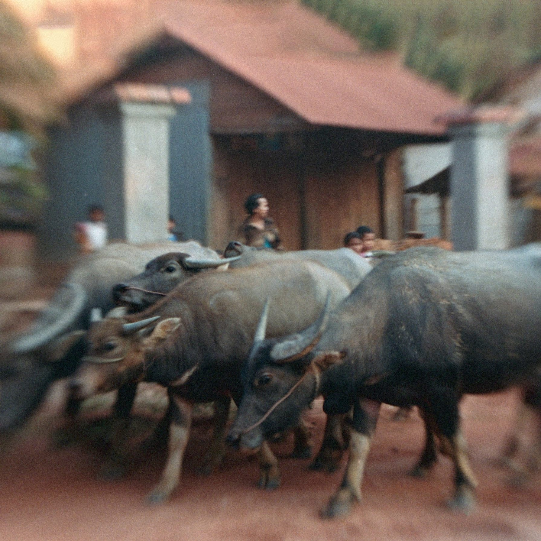 STREETS SPIRIT. Eduard Kopysov — International visual artist