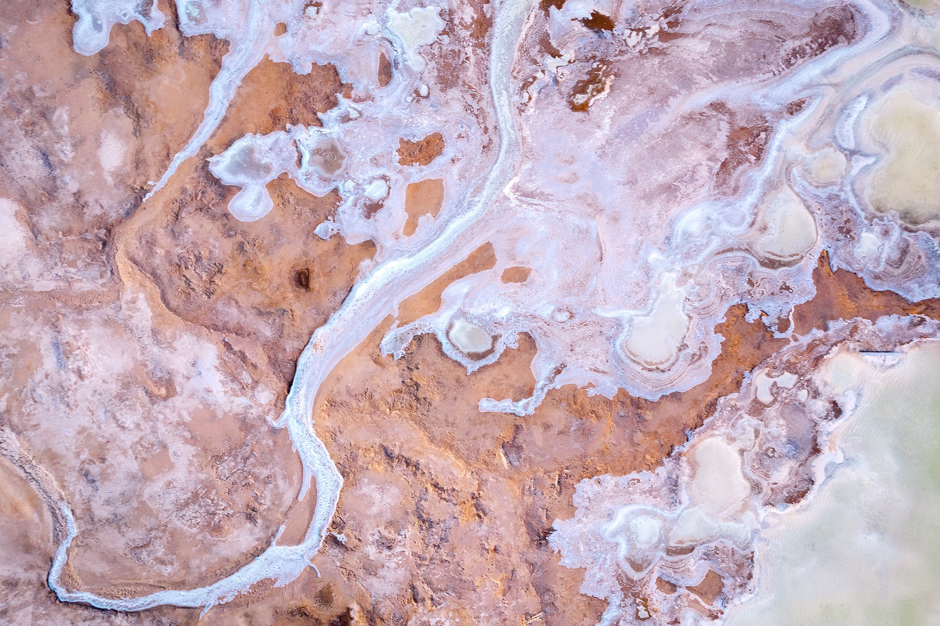 Волгоградская и астраханская области Весна 2026 | Фотограф Дмитрий Купрацевич. Дмитрий Купрацевич профессиональный пейзажный и travel-фотограф