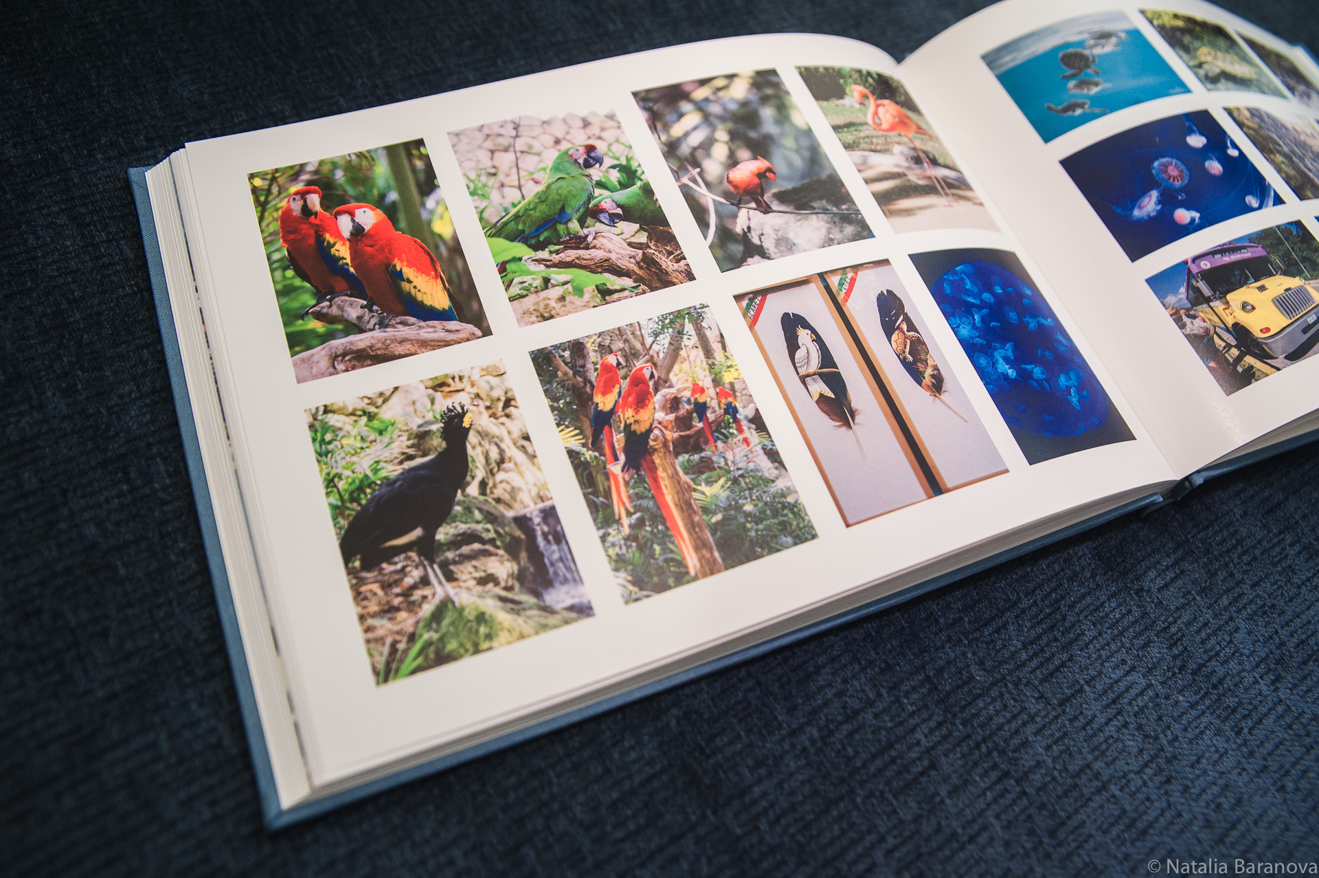 Путешествие на Кубу. Наталия Баранова — профессиональный фотограф в СПб и Москве