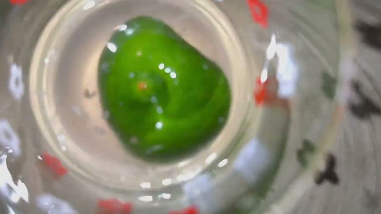 FILMS. Visual artist and photographer Alexandra Muravyeva