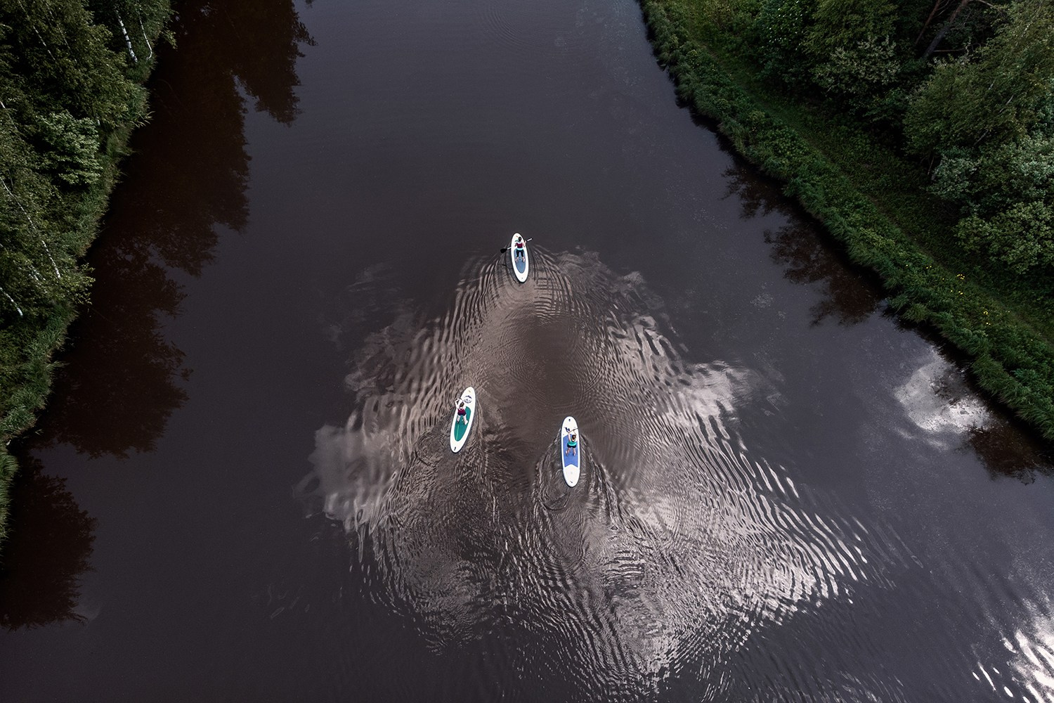 «Гнездо чайки» — Комплекс загородных домов