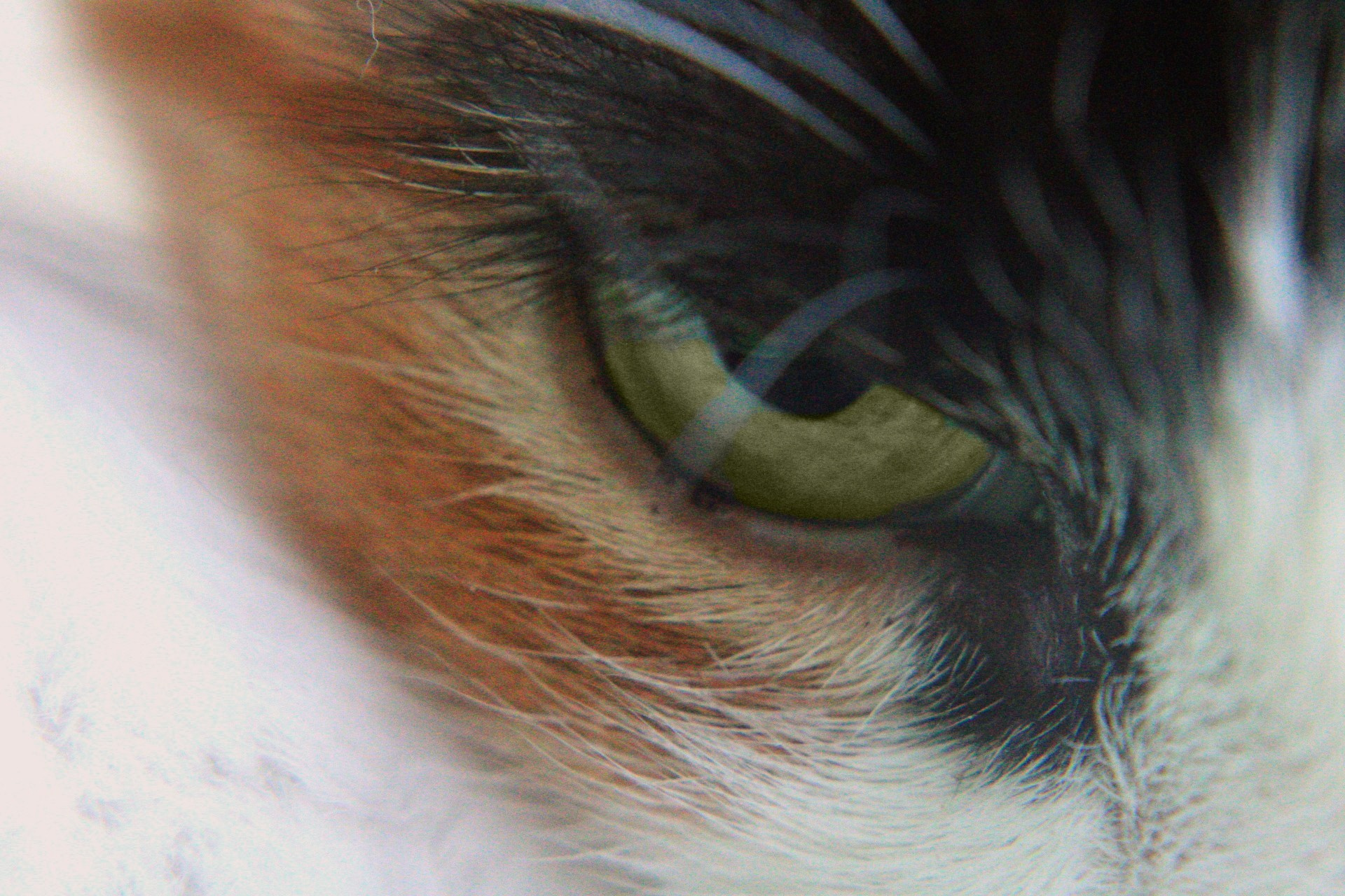 Катя Попова|ЛайфСтайл фотограф