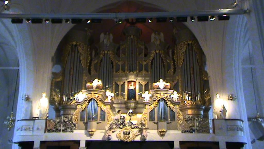 Орган+аккордеон 2015. Аккордеонист Мирослав Лелюх