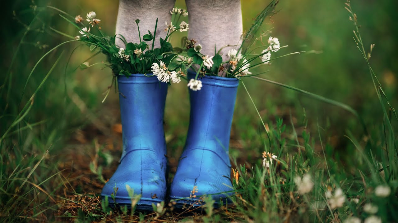 Подарки. Фотограф Ольга Сальманович