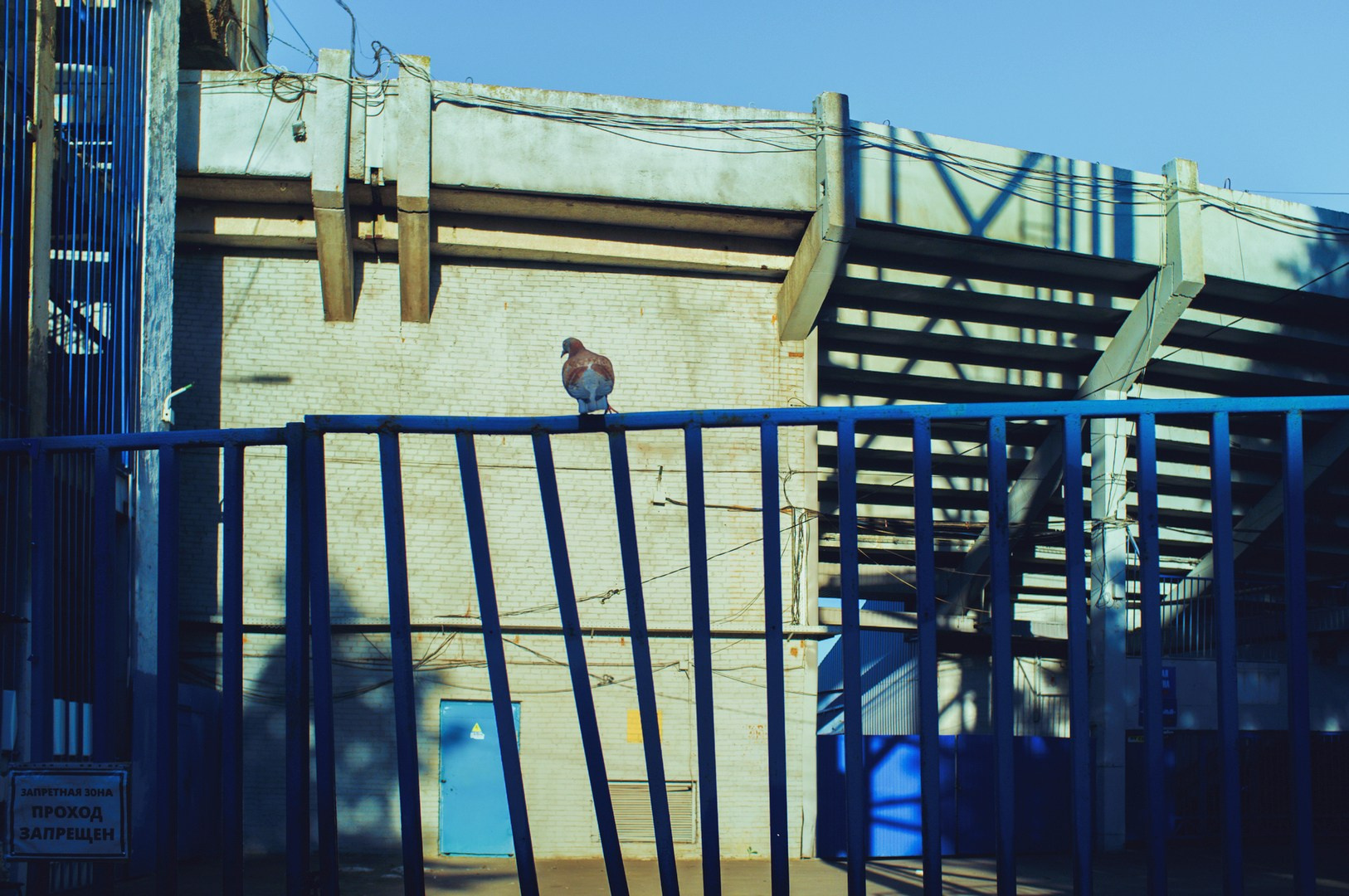 Руслан Шувалов (поэтограф)