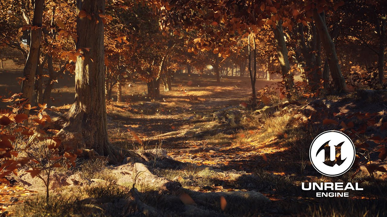 Осенний Лес | 2022. 6/88 Studio — производство графики под ключ на Unreal Engine