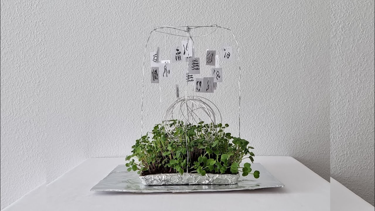 Листья опали там, где исчезли герои. Ангелина Богданова, междисциплинарная художница