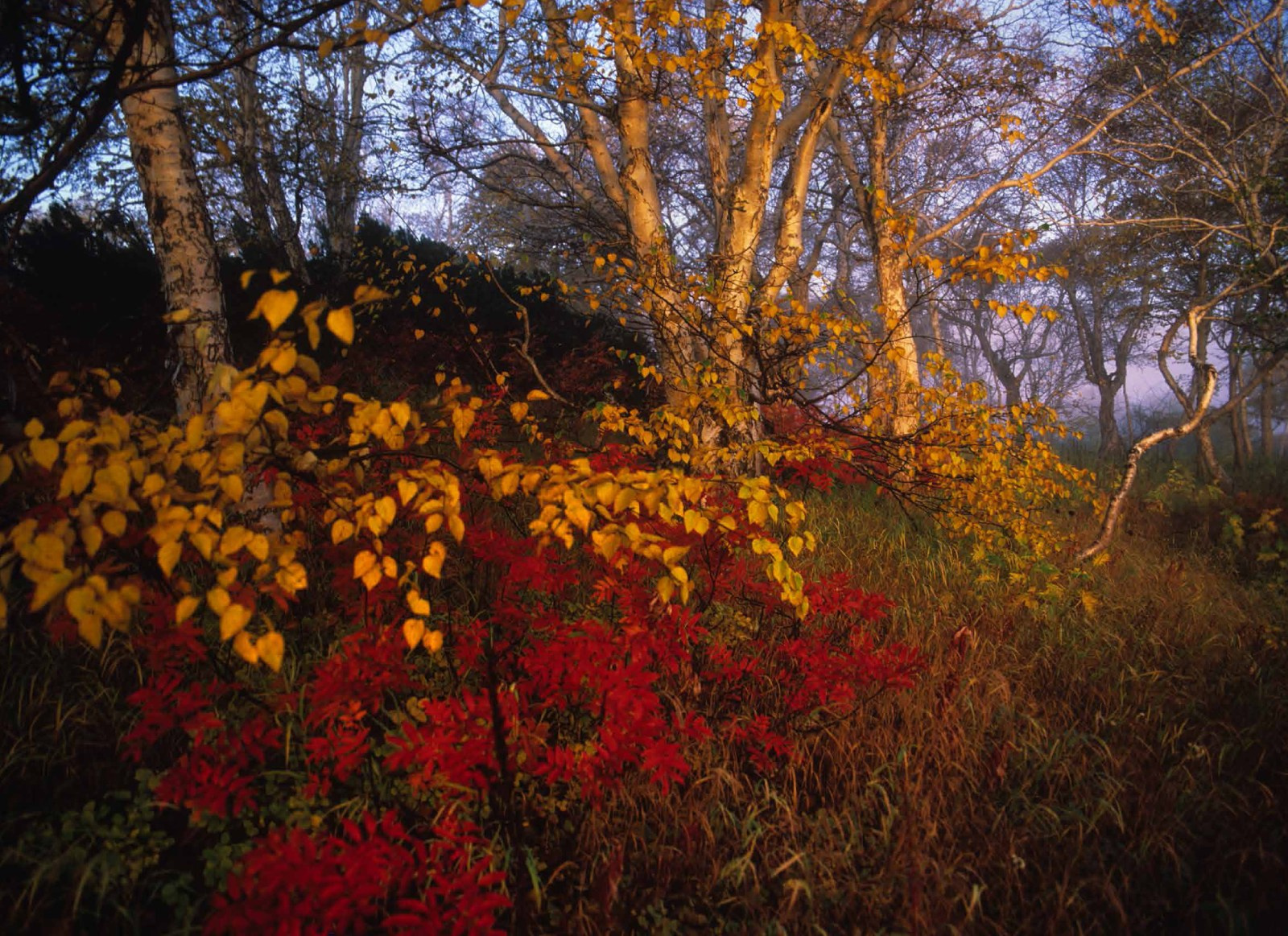 Коллекционные альбомы. ВАДИМ ГИППЕНРЕЙТЕР — ВЕЛИКИЙ ФОТОГРАФ ЗЕМЛИ РУССКОЙ