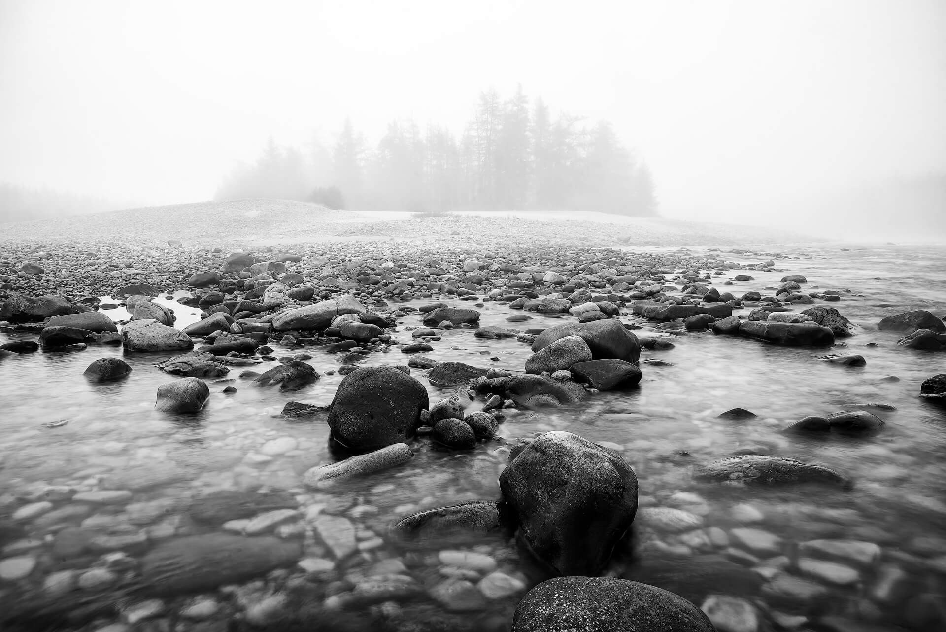 Фотограф животных и портретный фотограф в Москве Игорь Зубков