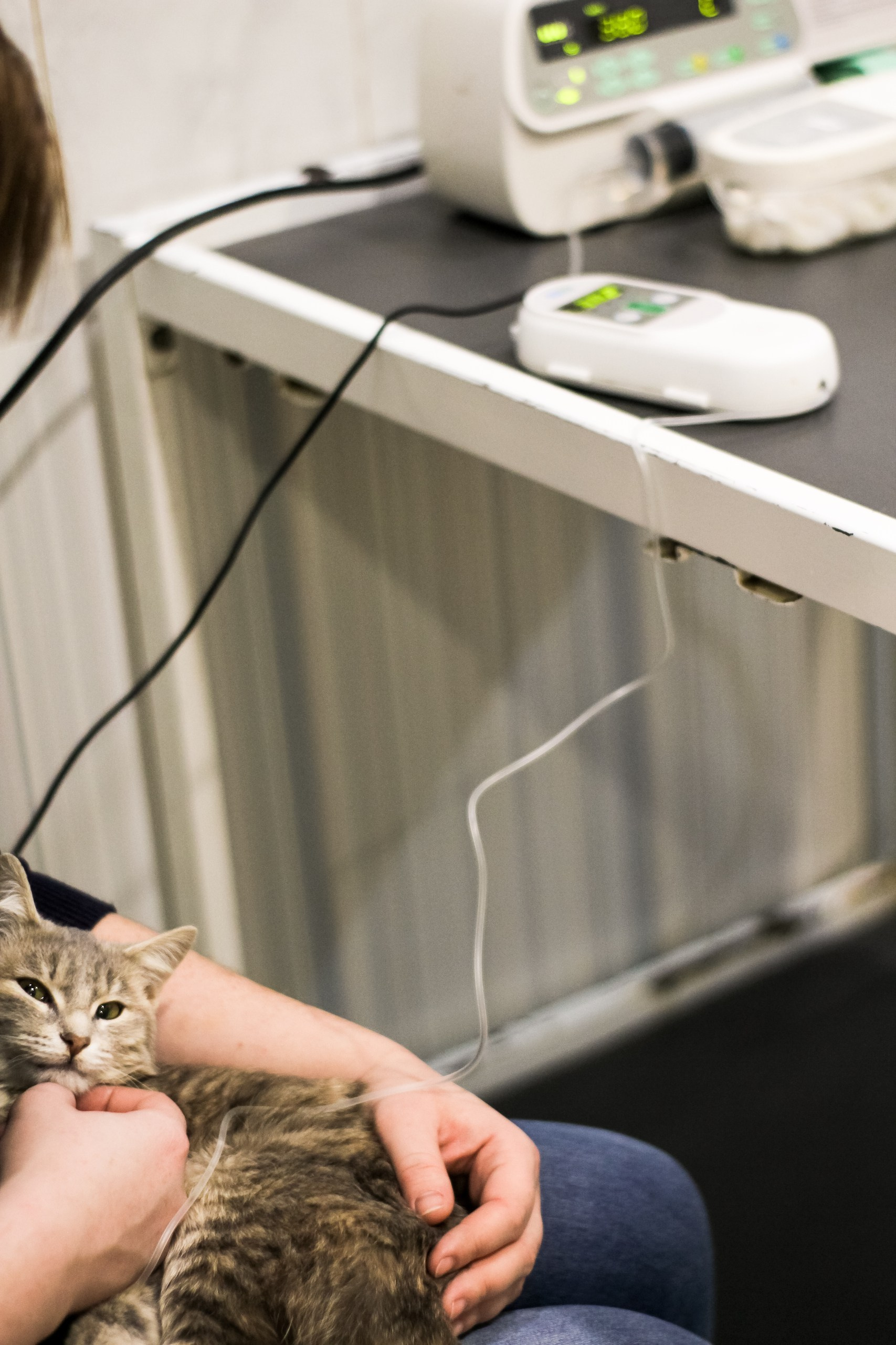 Контент съемка и предметная съемка для продвижения услуг бизнеса. Студия контента «СВОЕ МЕСТО»