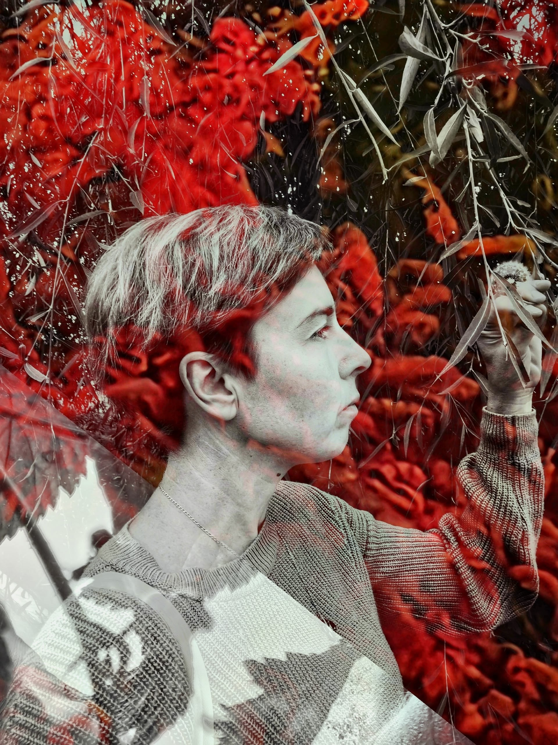 Алмалиева Екатерина