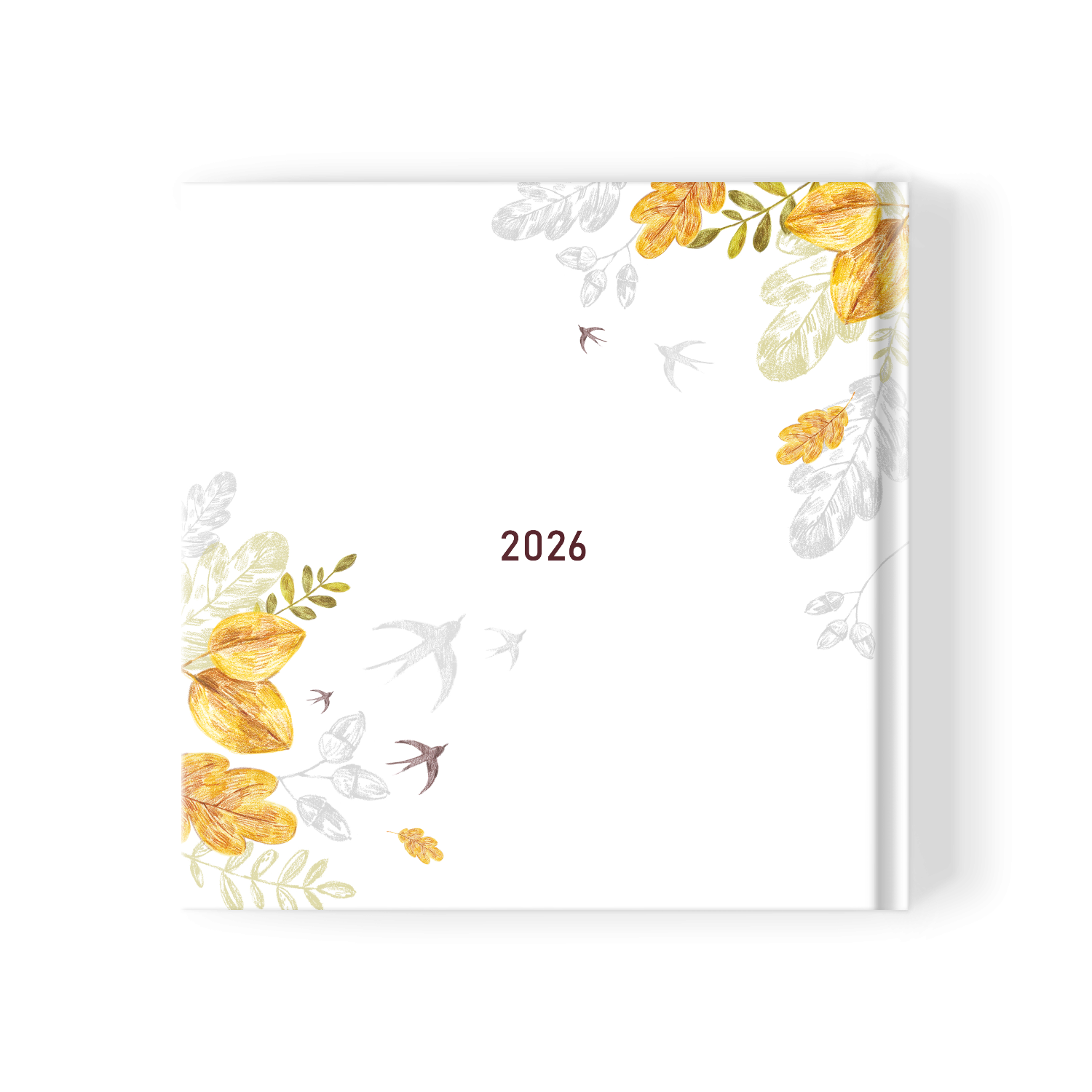 4-е классы. Фотограф Санкт-Петербург