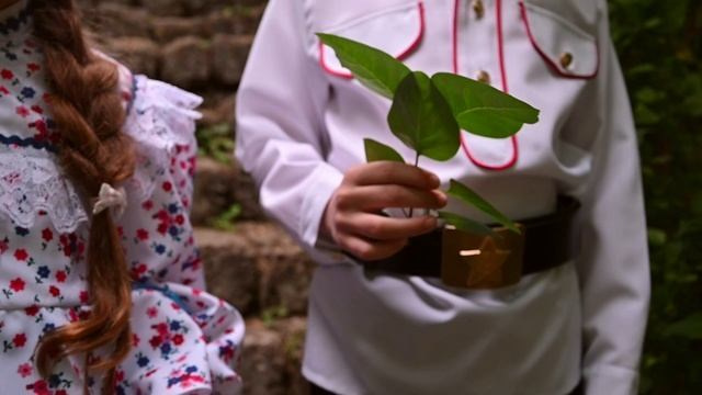 Проект «Донские истории». АНО «Центра социальных проектов «Путь в большой мир»