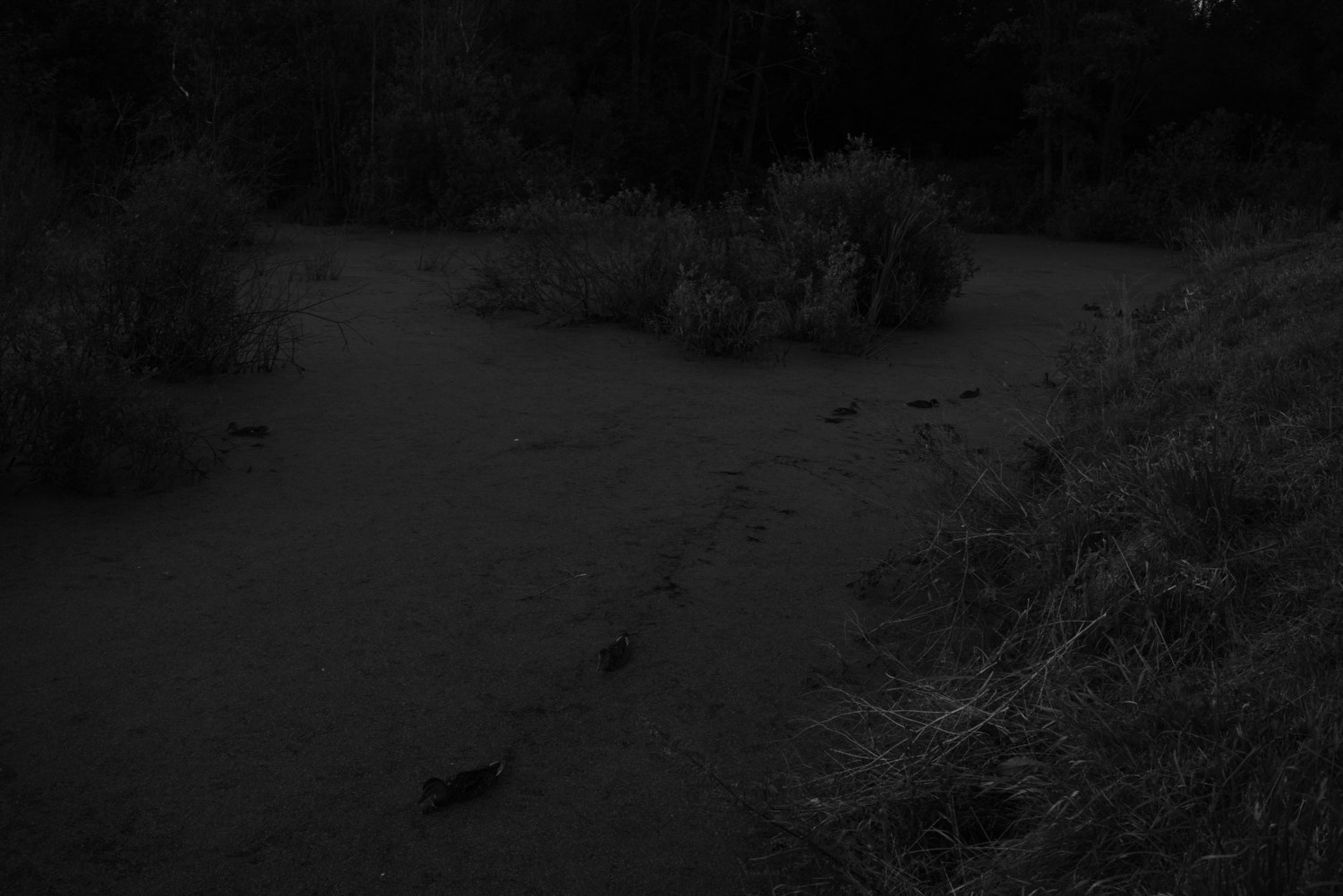 Непокорённая земля. Пылина Ирина — современная фотография