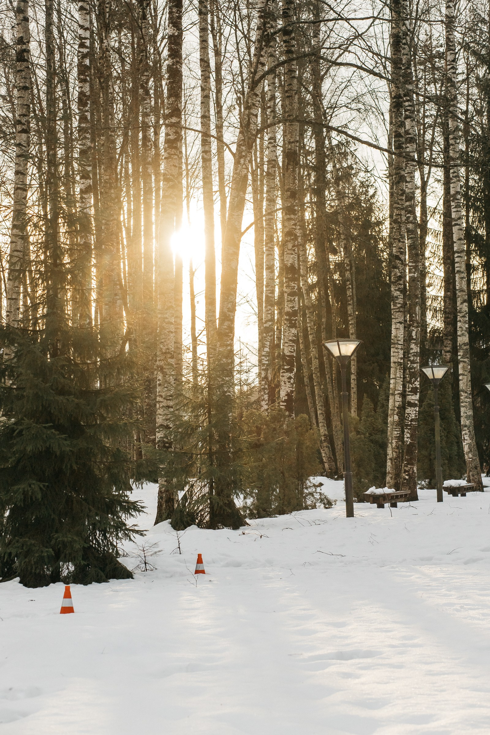 Репортаж_Корпоративы