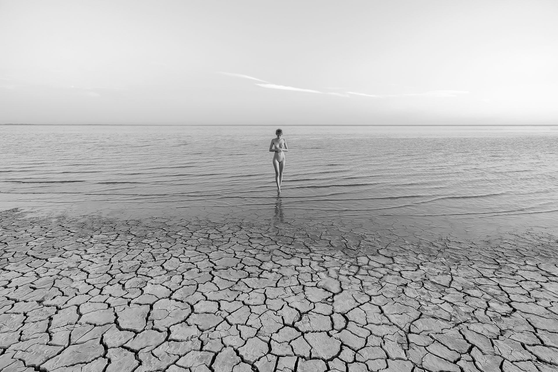 SALE OF DIGITAL FINE ART FILES BY ARTIST MIKHAIL POTAPOV