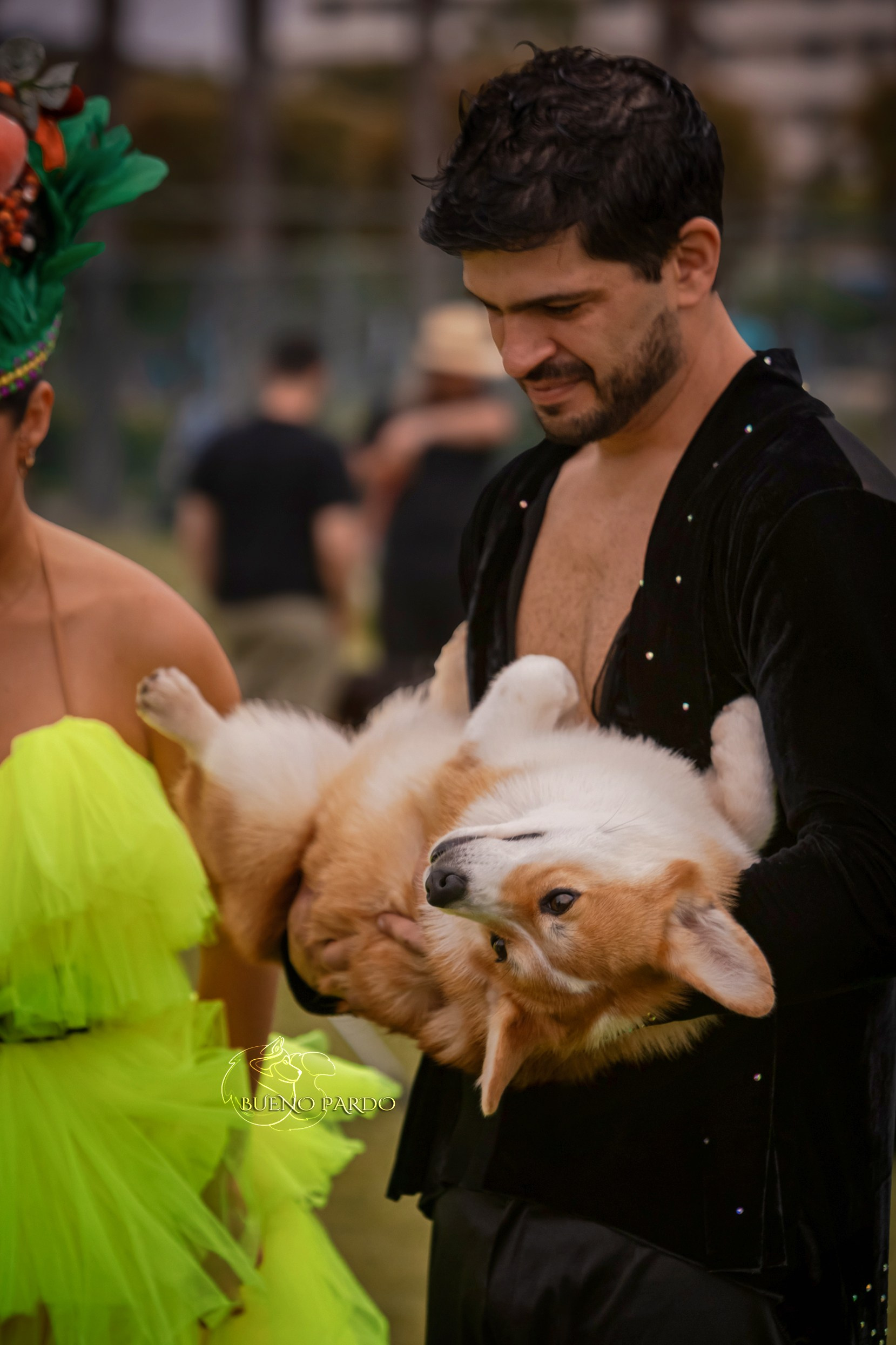 КОРГИ. Kawaii Kuma питомник собак пород Корги пемброк, Акита ину, Сиба