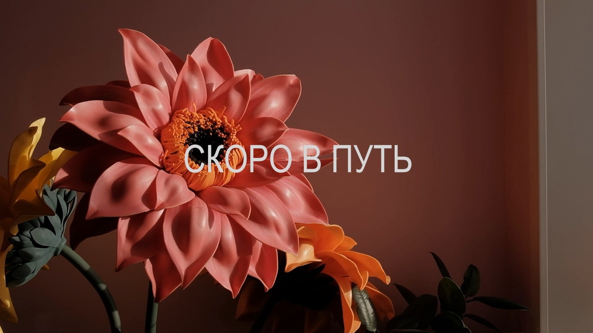 Видеосъемка в детском саду. Видеосъемка в Барнауле