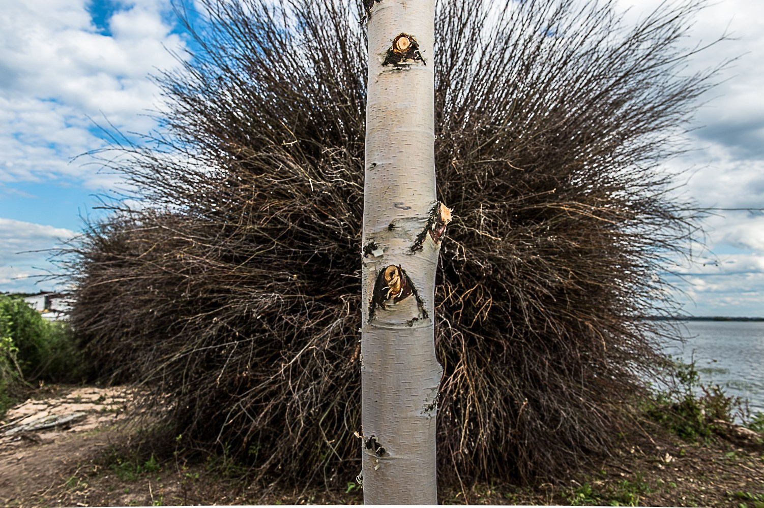 Фотограф и личные проекты. Ира Зимина — портретный фотограф и художник в Калиниграде и Москве