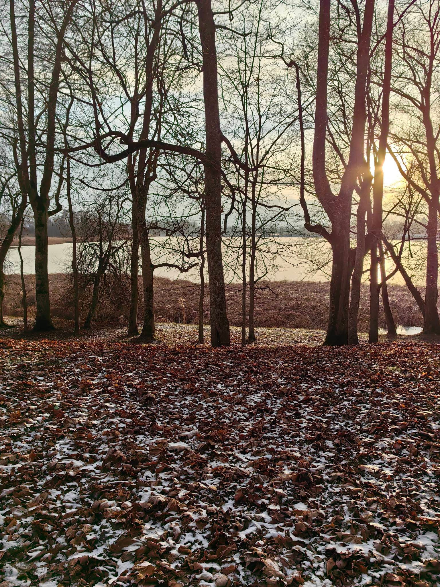 Несвижский замок в Беларуси. Купить картину на холсте для интерьера|художник | дизайнер | архитектор Сергей Ратчин в Москве