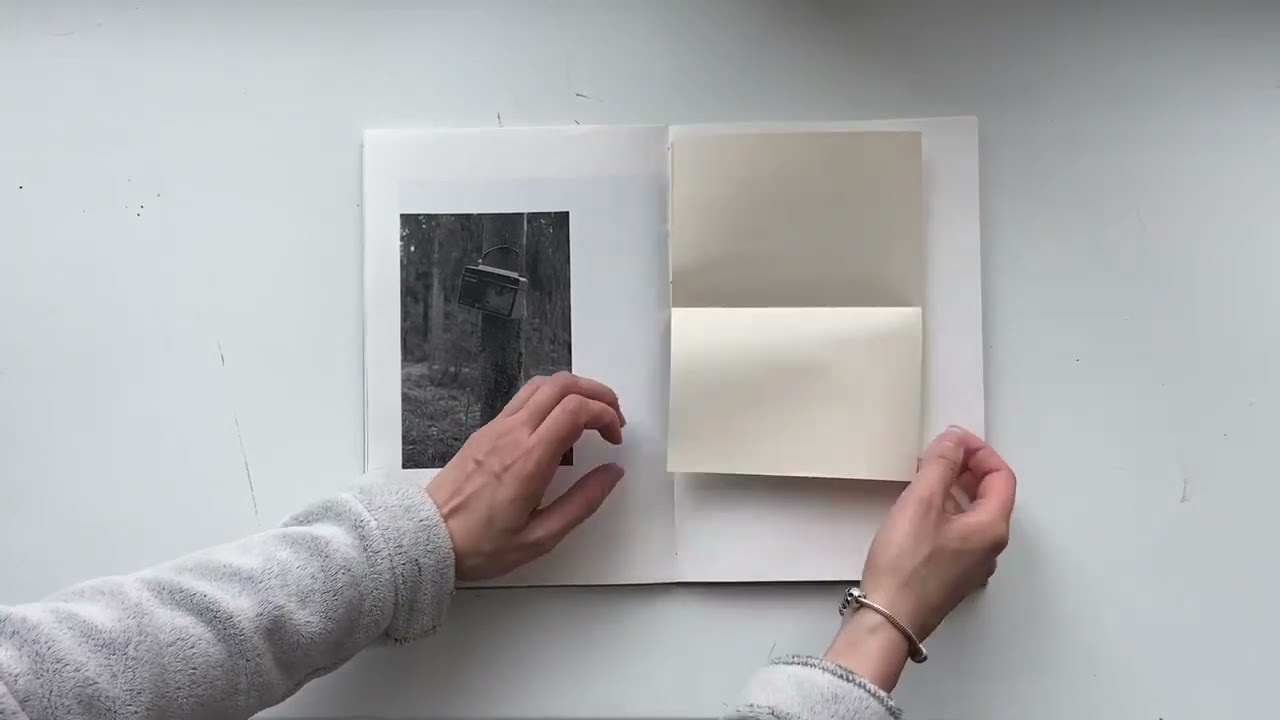 About forest, traps and sorrow. Main