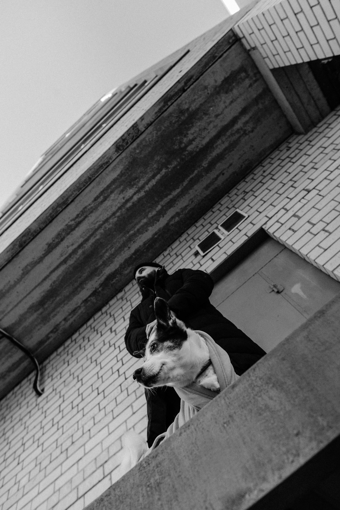 Мужская фотосессия с собакой в Тюмени — Саша и Тони. Фотограф Дарья Мустафина, Тюмень