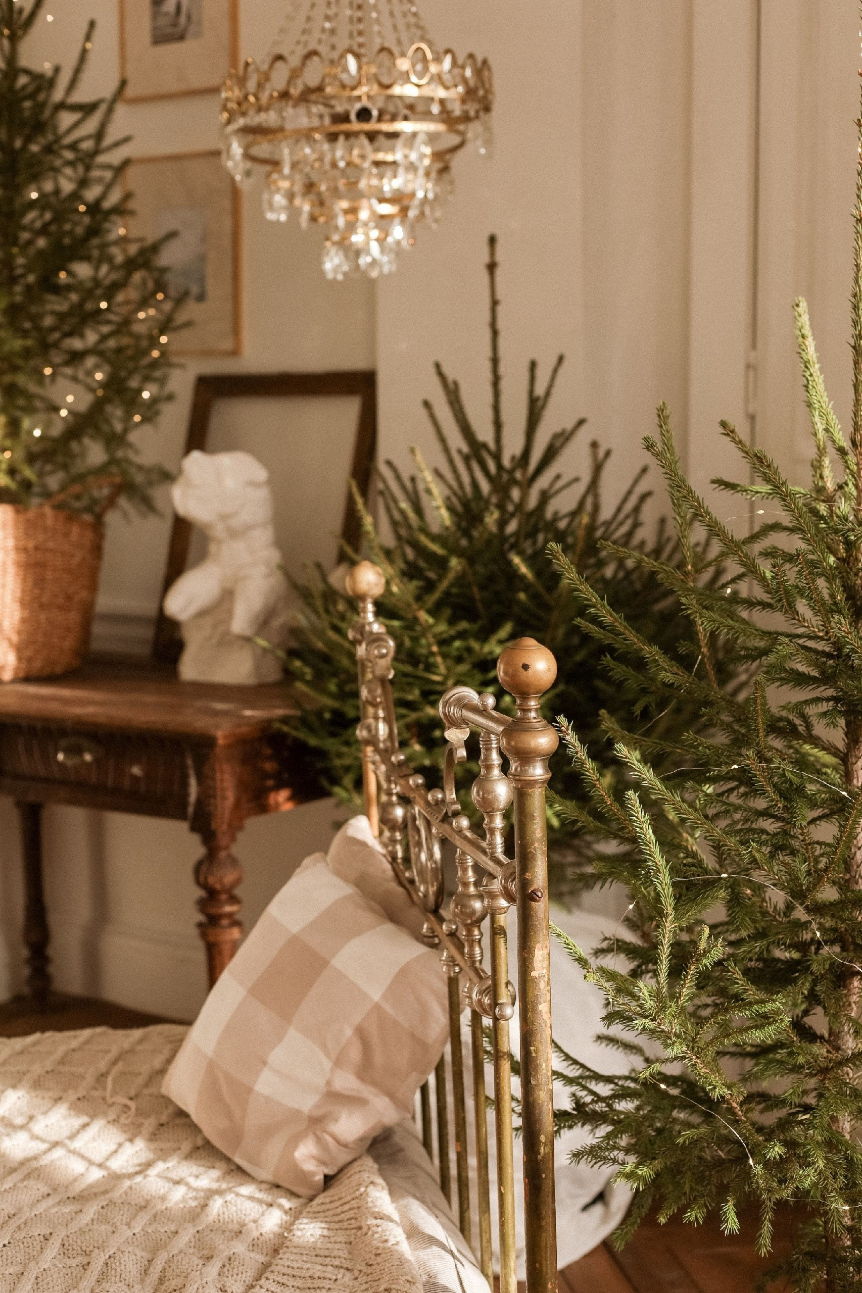 Новогодняя фотосессия тюмень. Фотограф Дарья Мустафина, Тюмень