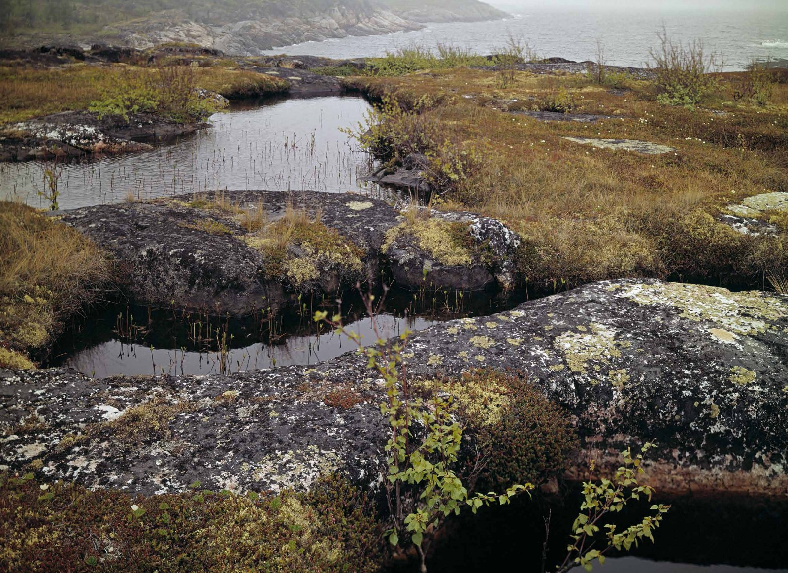 Коллекционные альбомы. ВАДИМ ГИППЕНРЕЙТЕР — ВЕЛИКИЙ ФОТОГРАФ ЗЕМЛИ РУССКОЙ