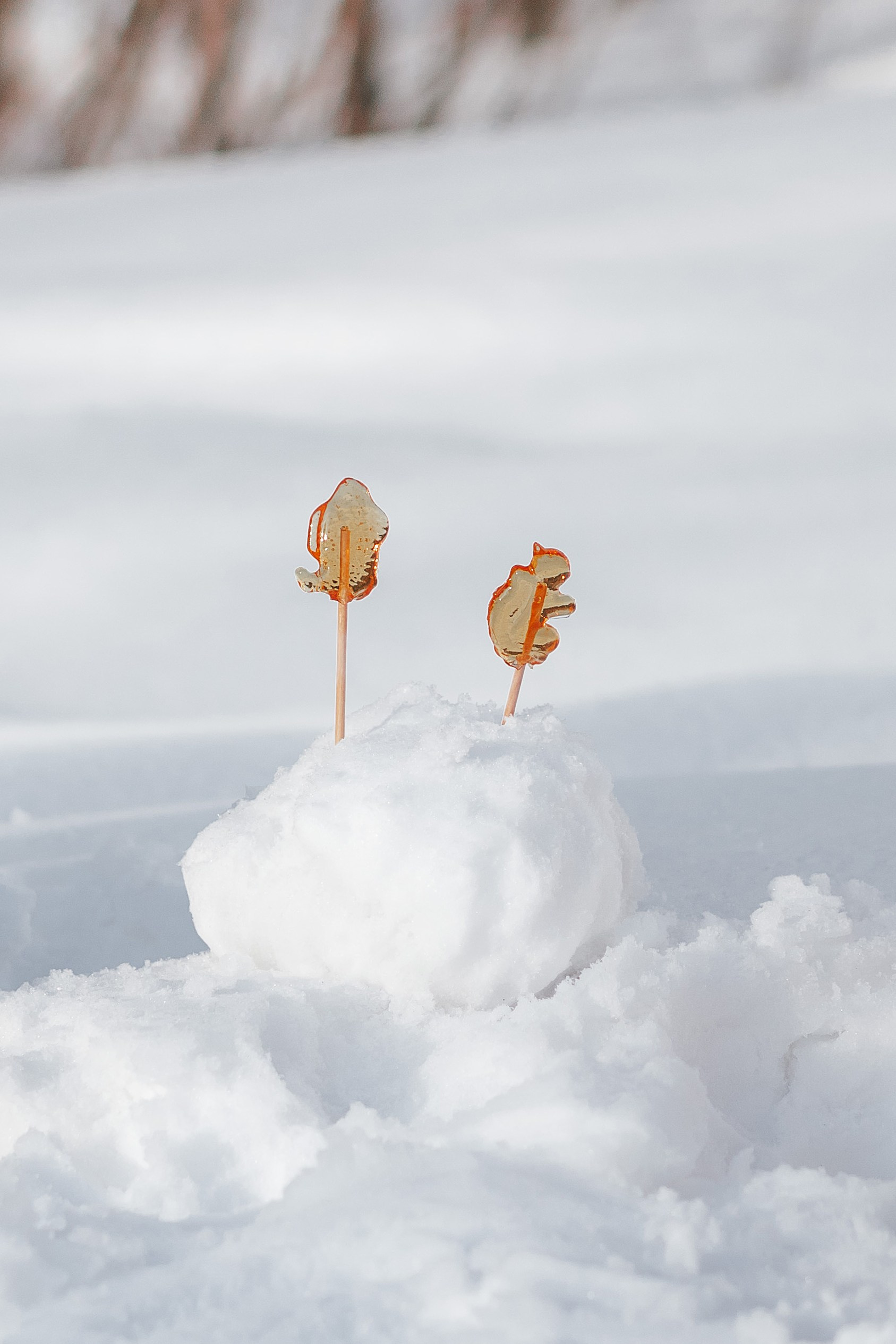 Снеговик. Семейный и детский фотограф в г. Новосибирске Макеева Анастасия