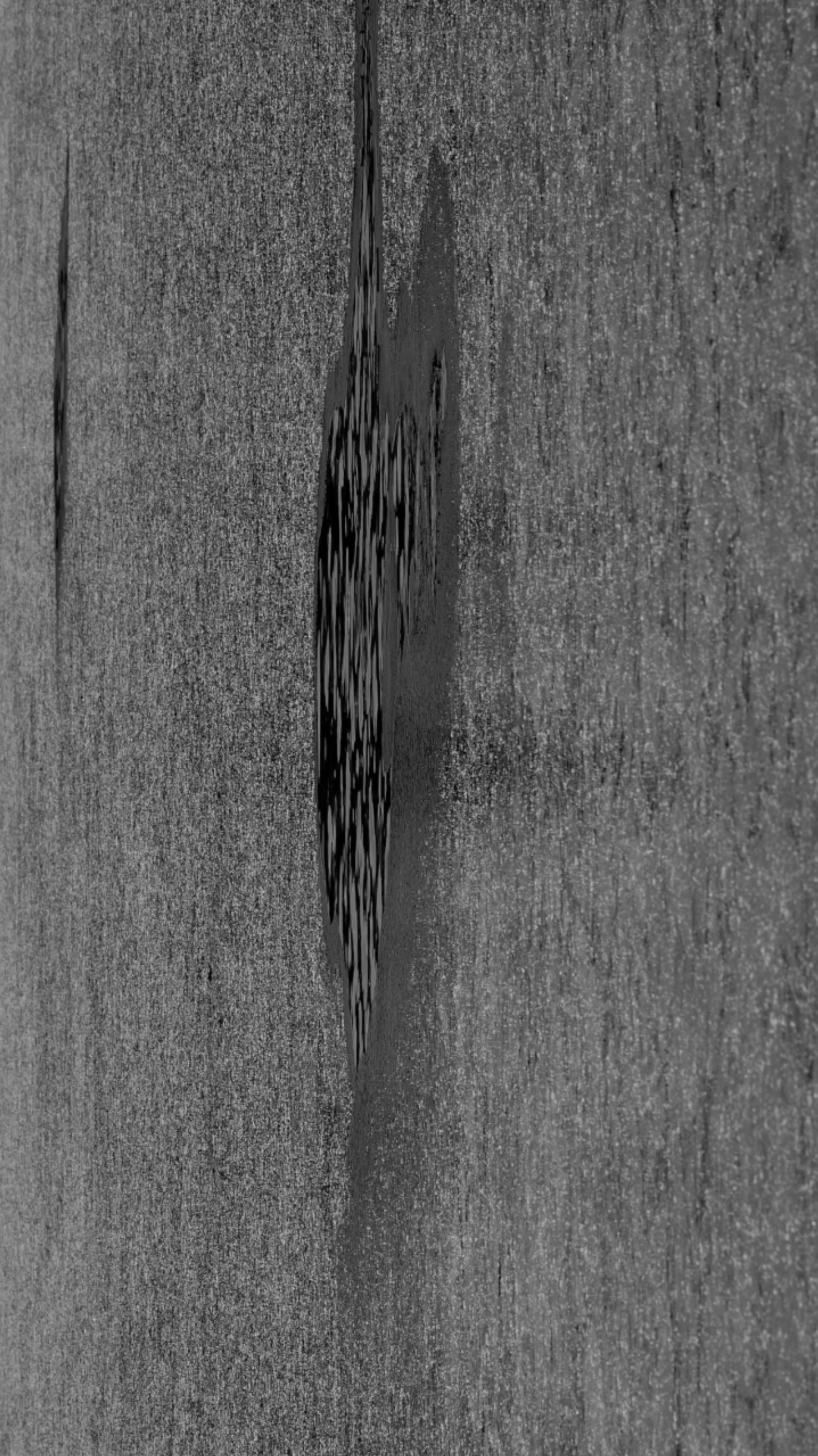 Нежные бабы. Что мне делать, чтобы земля оставалась на месте. Художественная группа «Нежные Бабы»