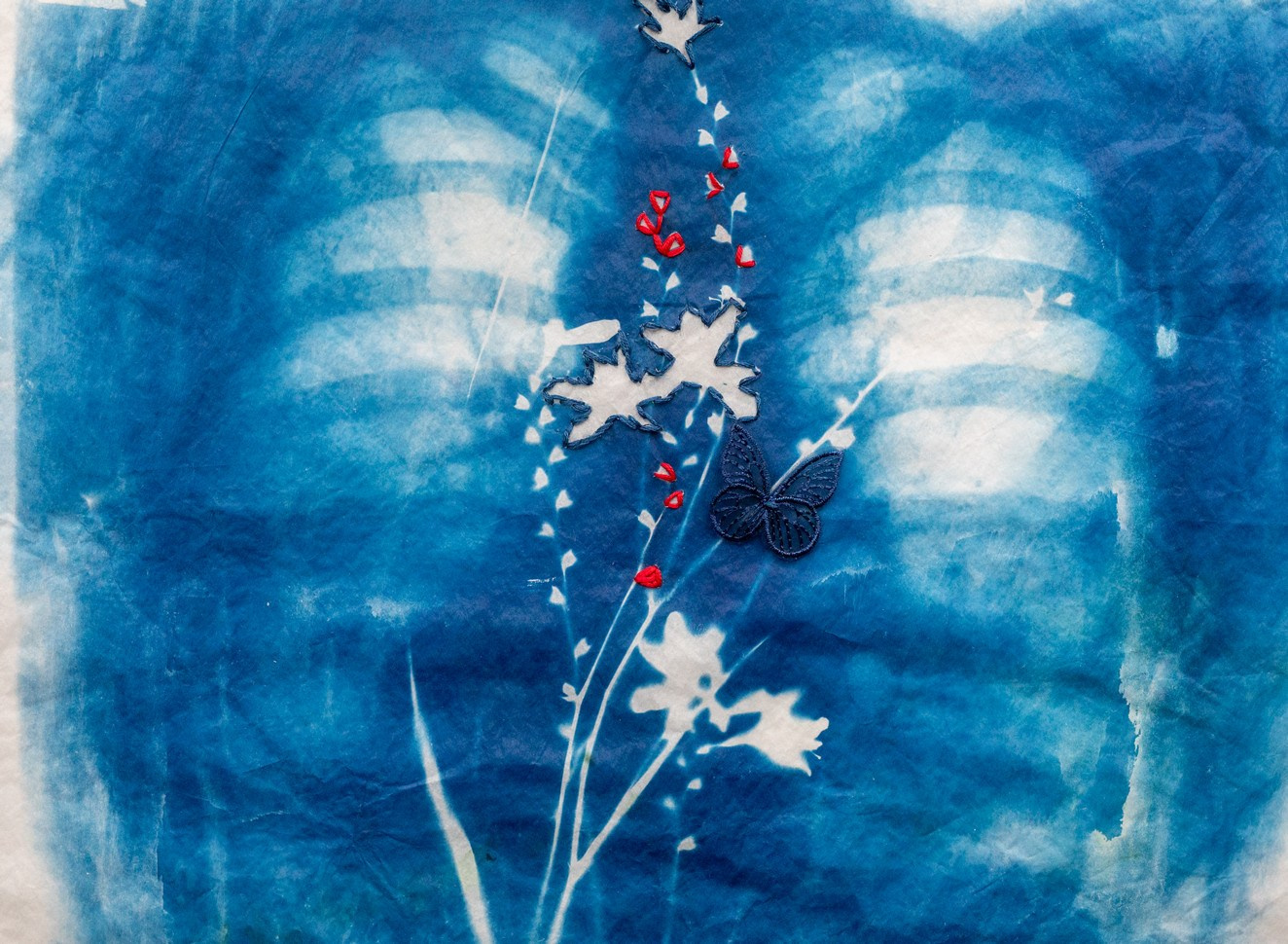 CYANOTYPE. CONTEMPORARY ARTIST OLGA ANDRIYASH
