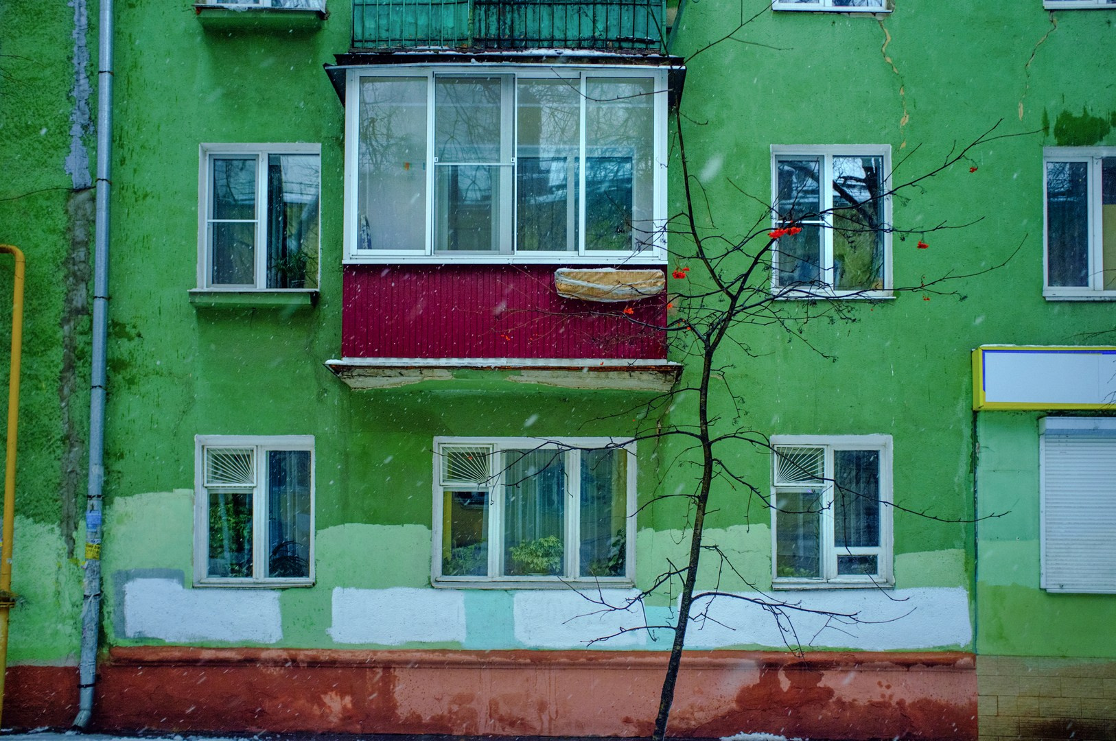 Руслан Шувалов (поэтограф)