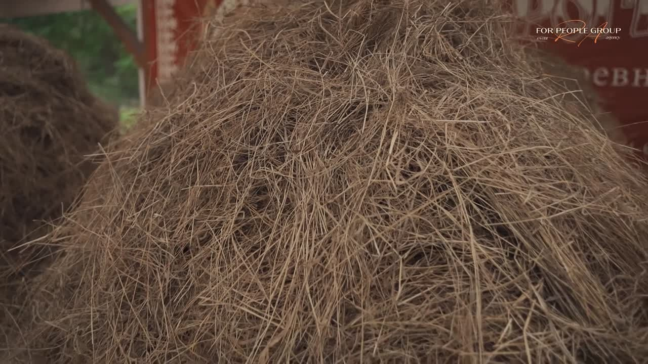 Свадебное видео (1). Фотограф и видеограф в Москве и Абу Даби Мария Кулагина