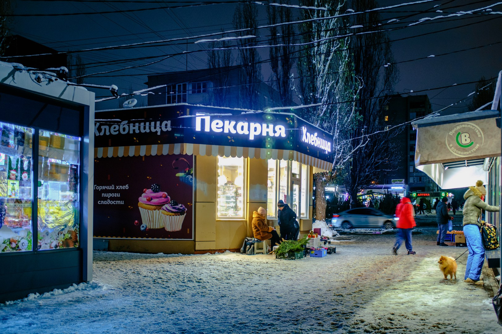 Зима уходящая. Руслан Шувалов (поэтограф)