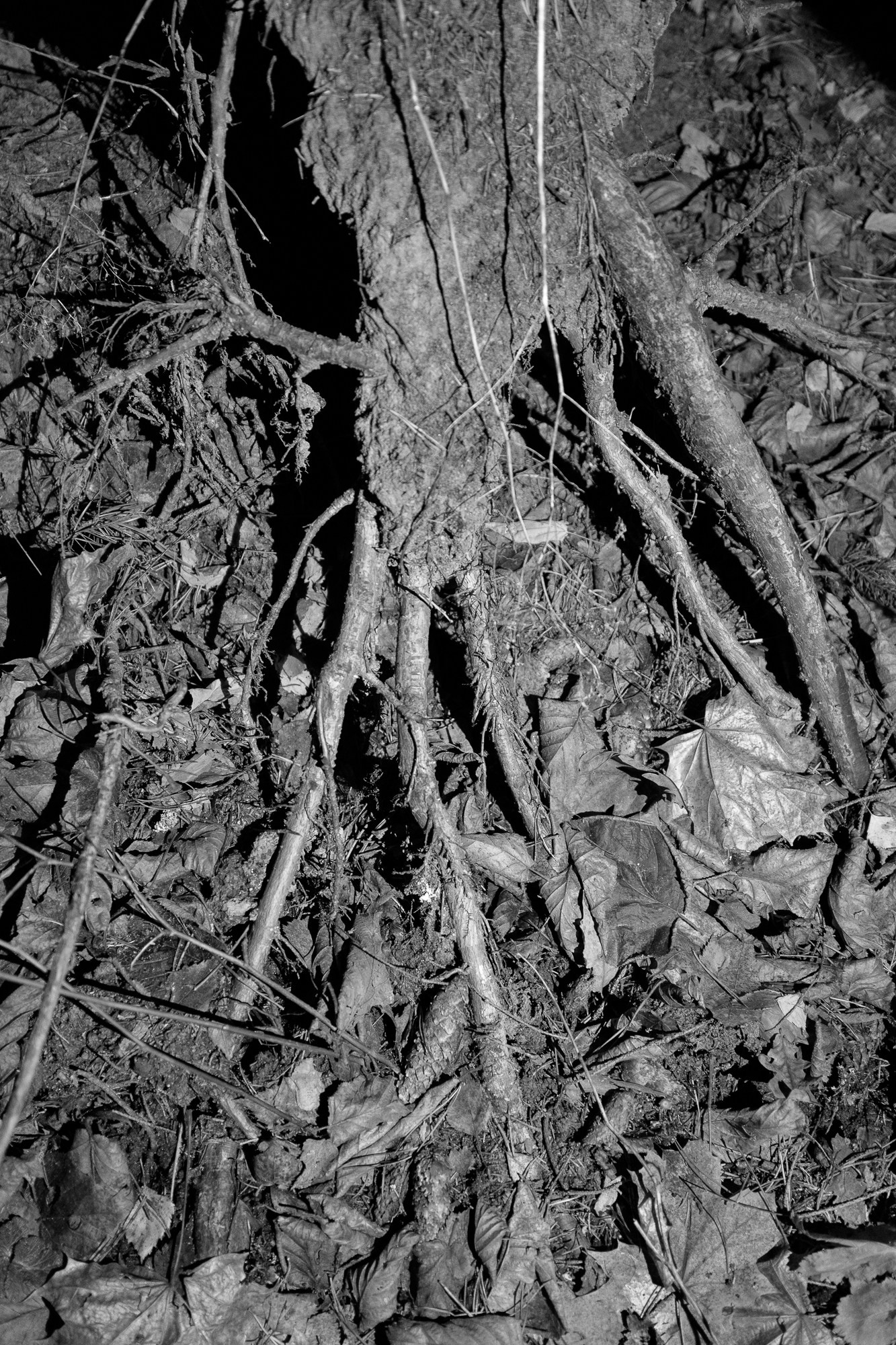 Пограничье. Юлия Леонова — фотограф, визуальный художник Минск