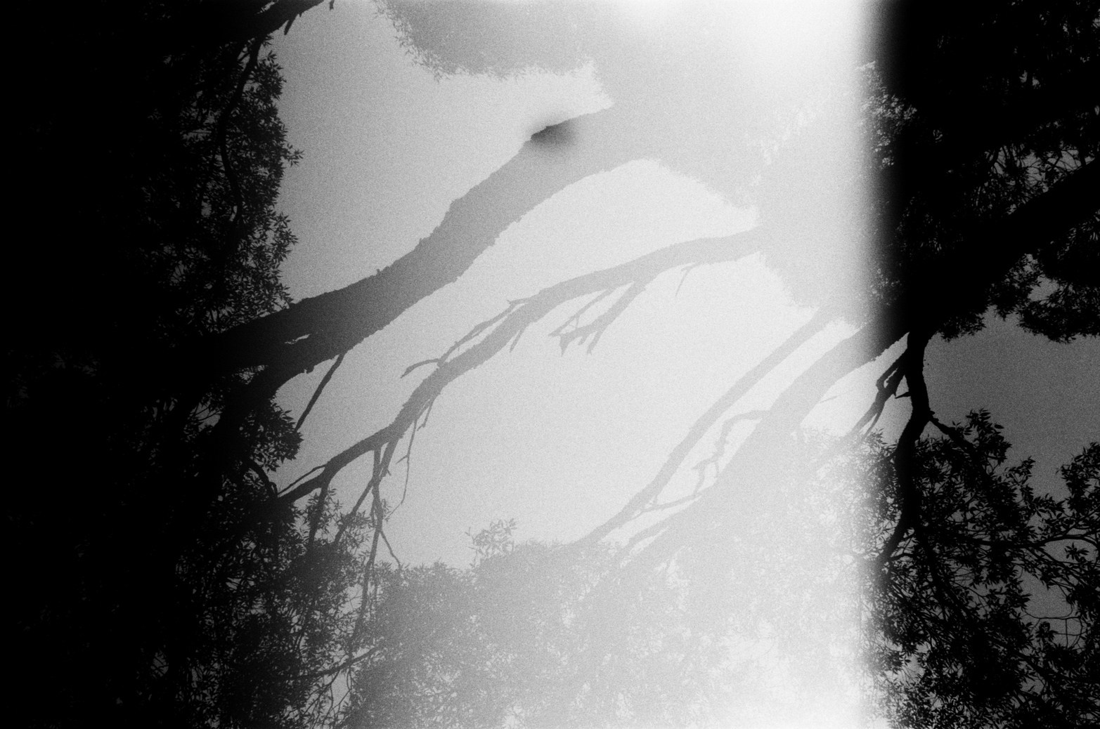 Let there be light. Maria Barakova