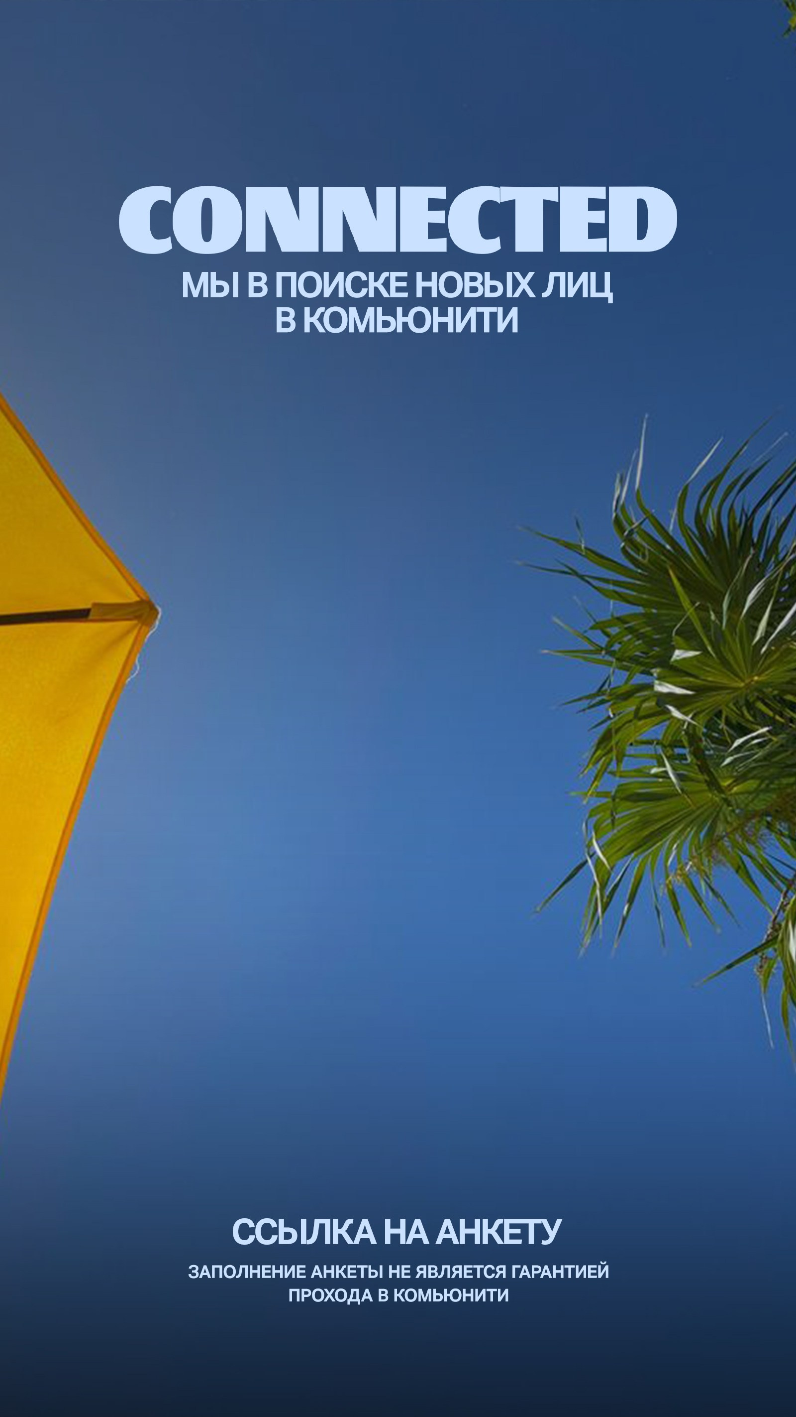 CONNECTED COMMUNITY. TENZO | Креативный продюсер / Арт-директор