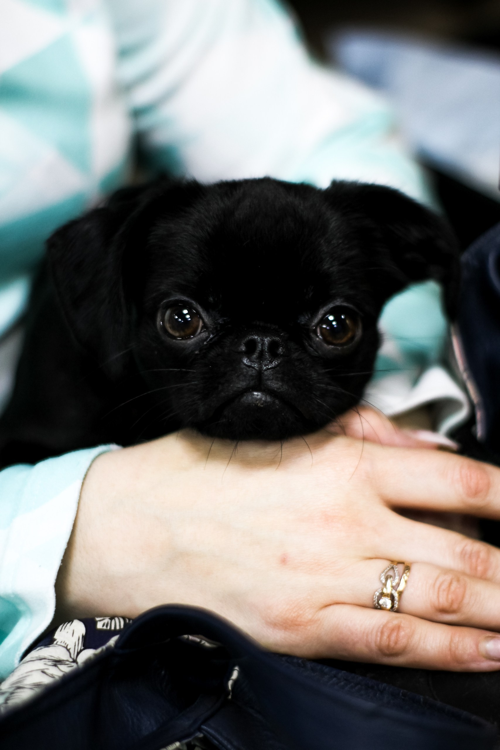 Контент съемка и предметная съемка для продвижения услуг бизнеса. Студия контента «СВОЕ МЕСТО»