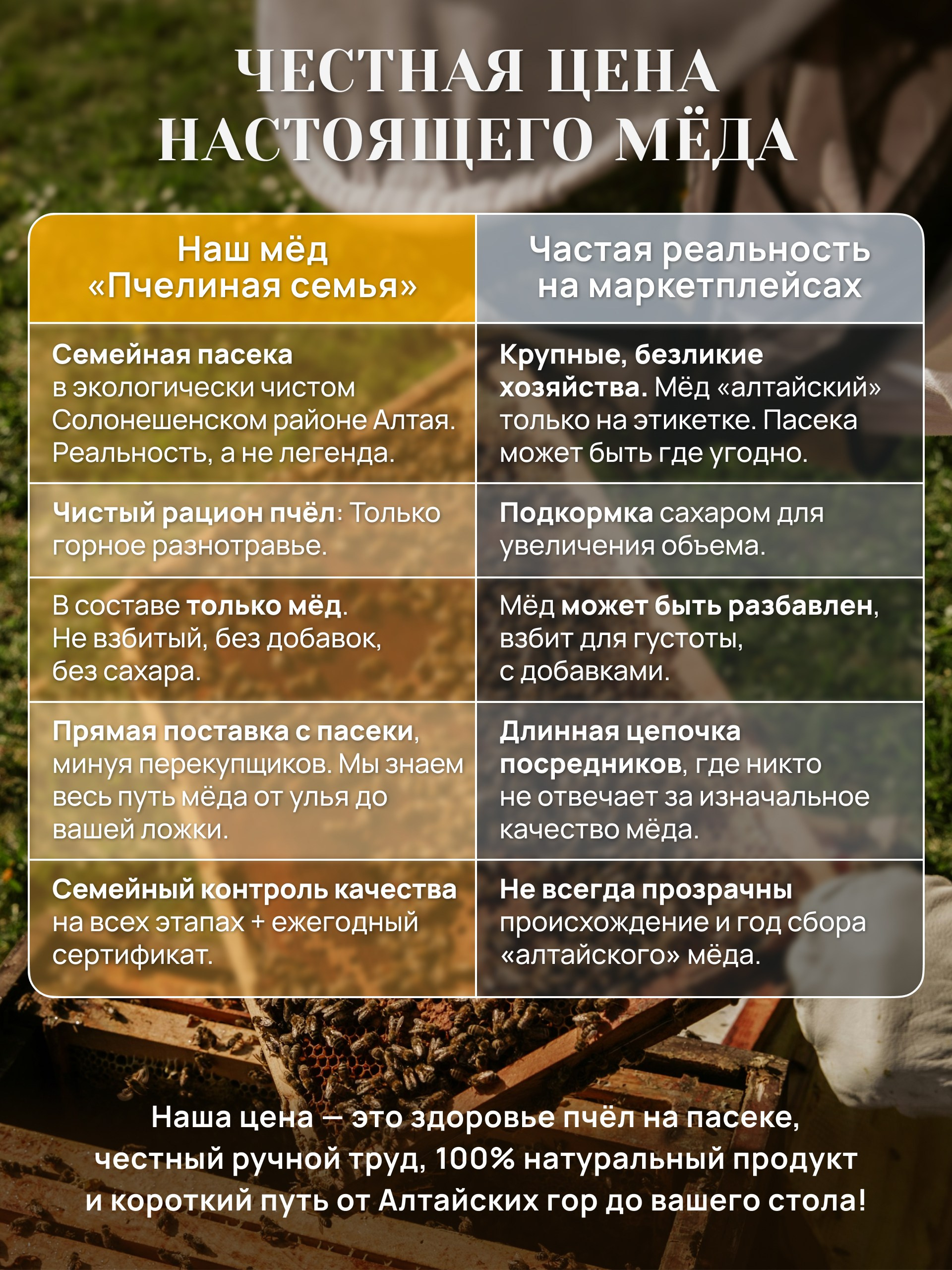 Инфографика для маркетплейсов: алтайский мёд. Маркетолог в Москве, специалист по коммуникациям и рекламе Аня Смоляга
