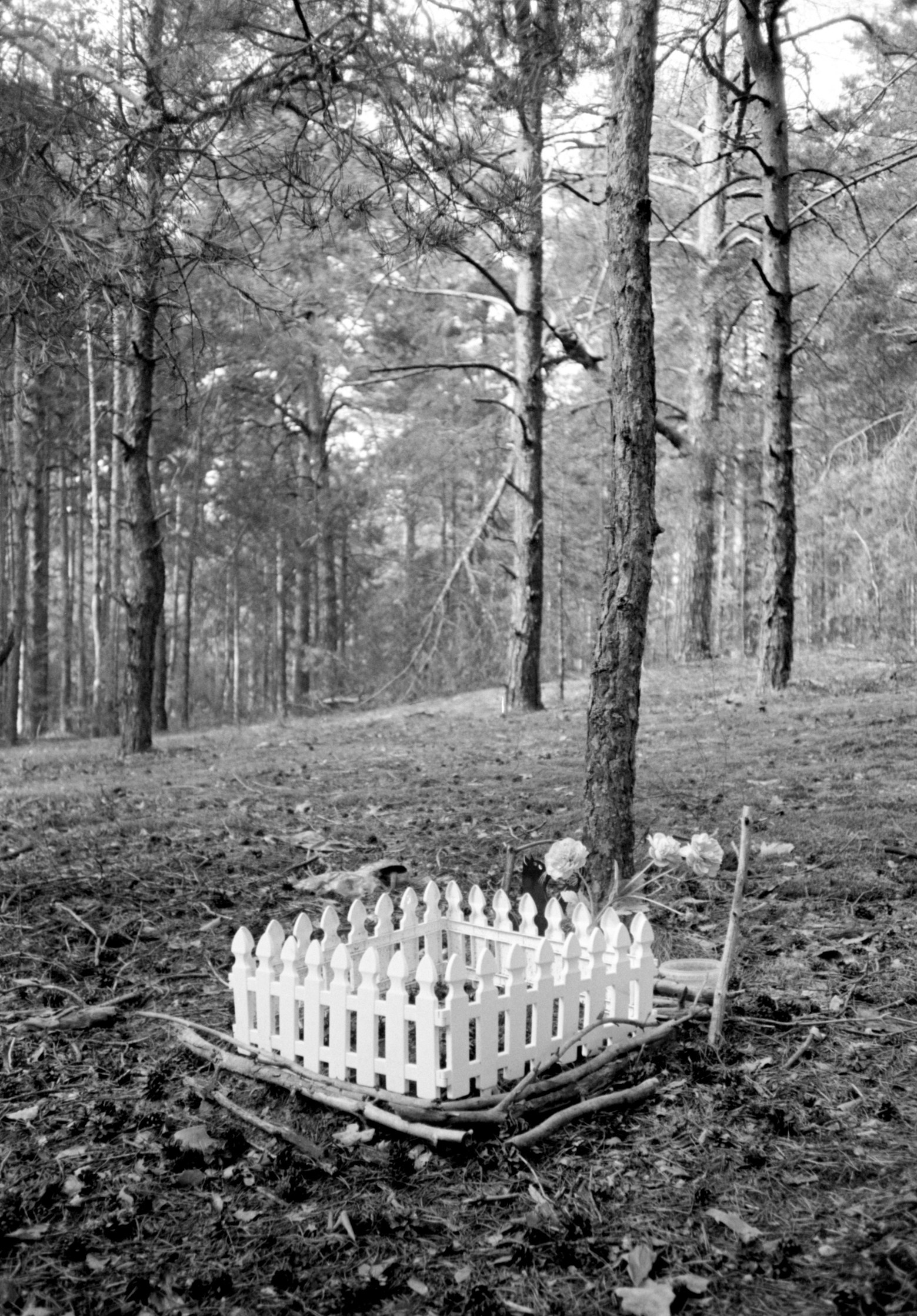 ALL DOGS GO TO HEAVEN. Dima Ptitsyn