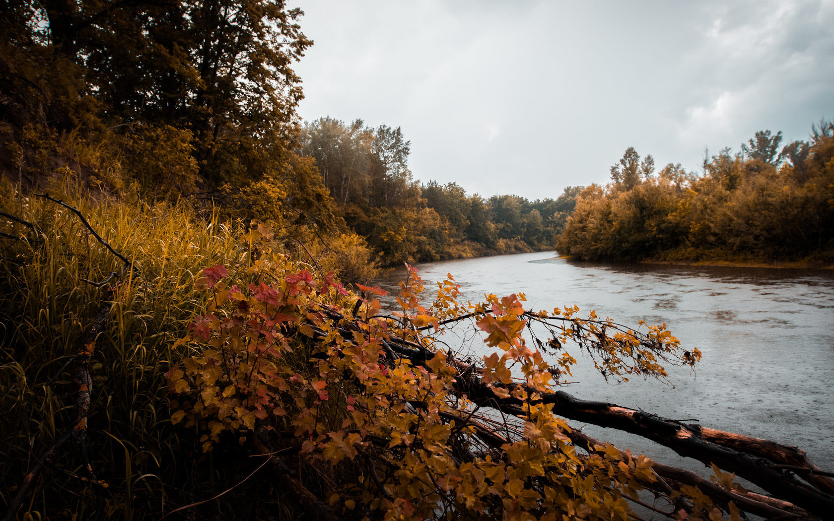 Пресет для Lightroom «Осень» — Скачать Autumn preset lightroom. ARTpreset — студия пресетов и лутов для Sony